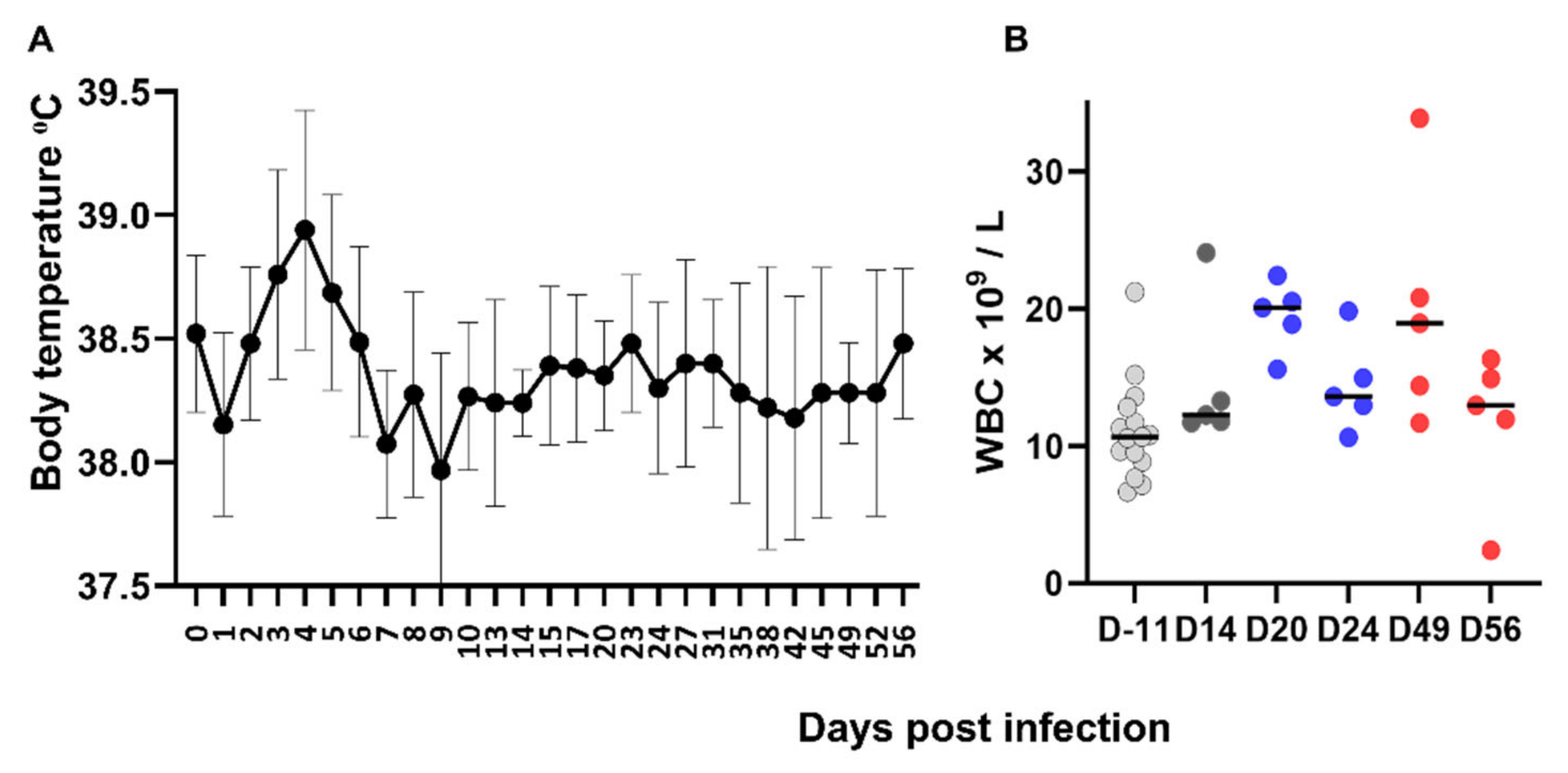 Viruses 14 01503 g003 550