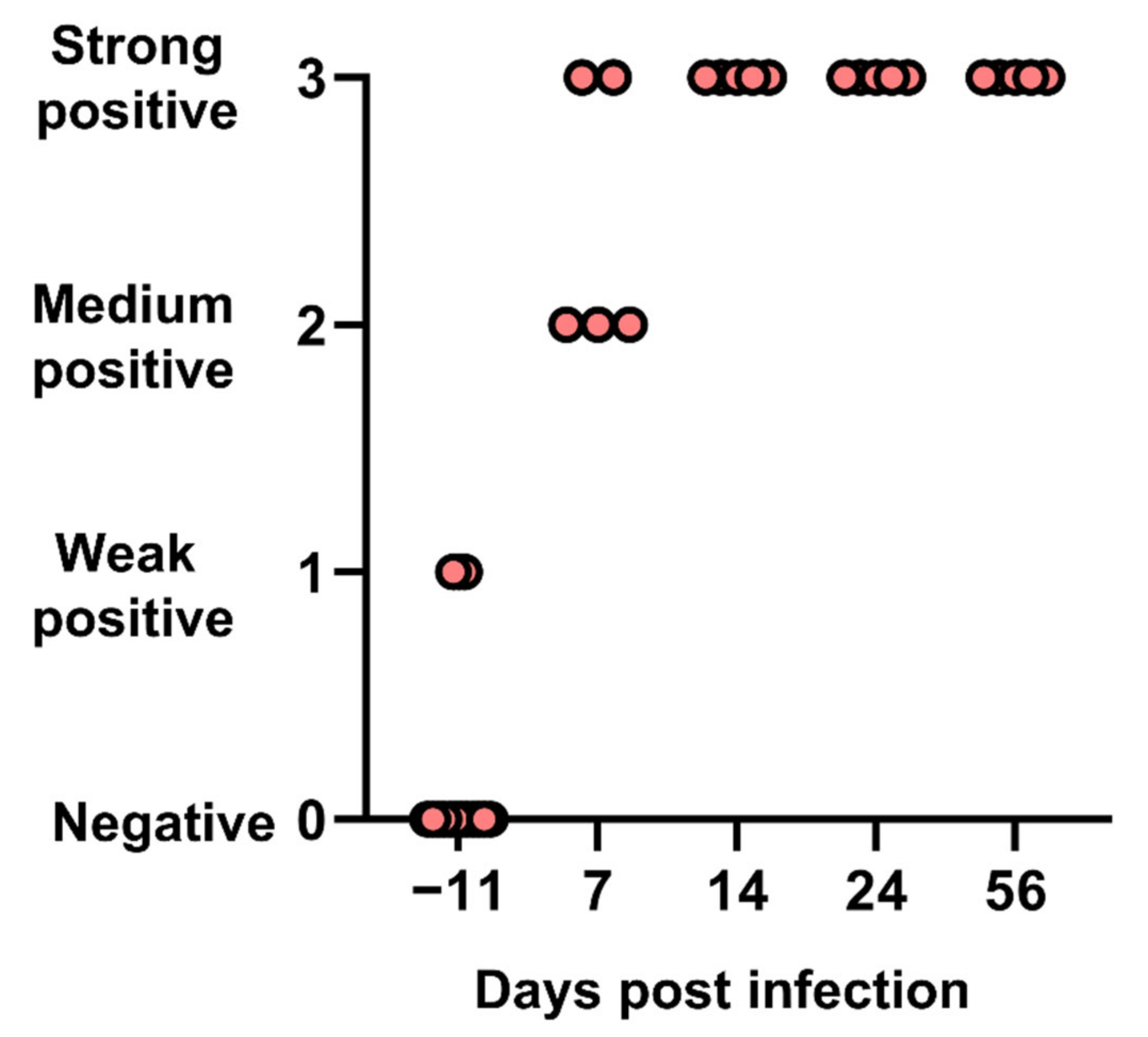 Viruses 14 01503 g005 550