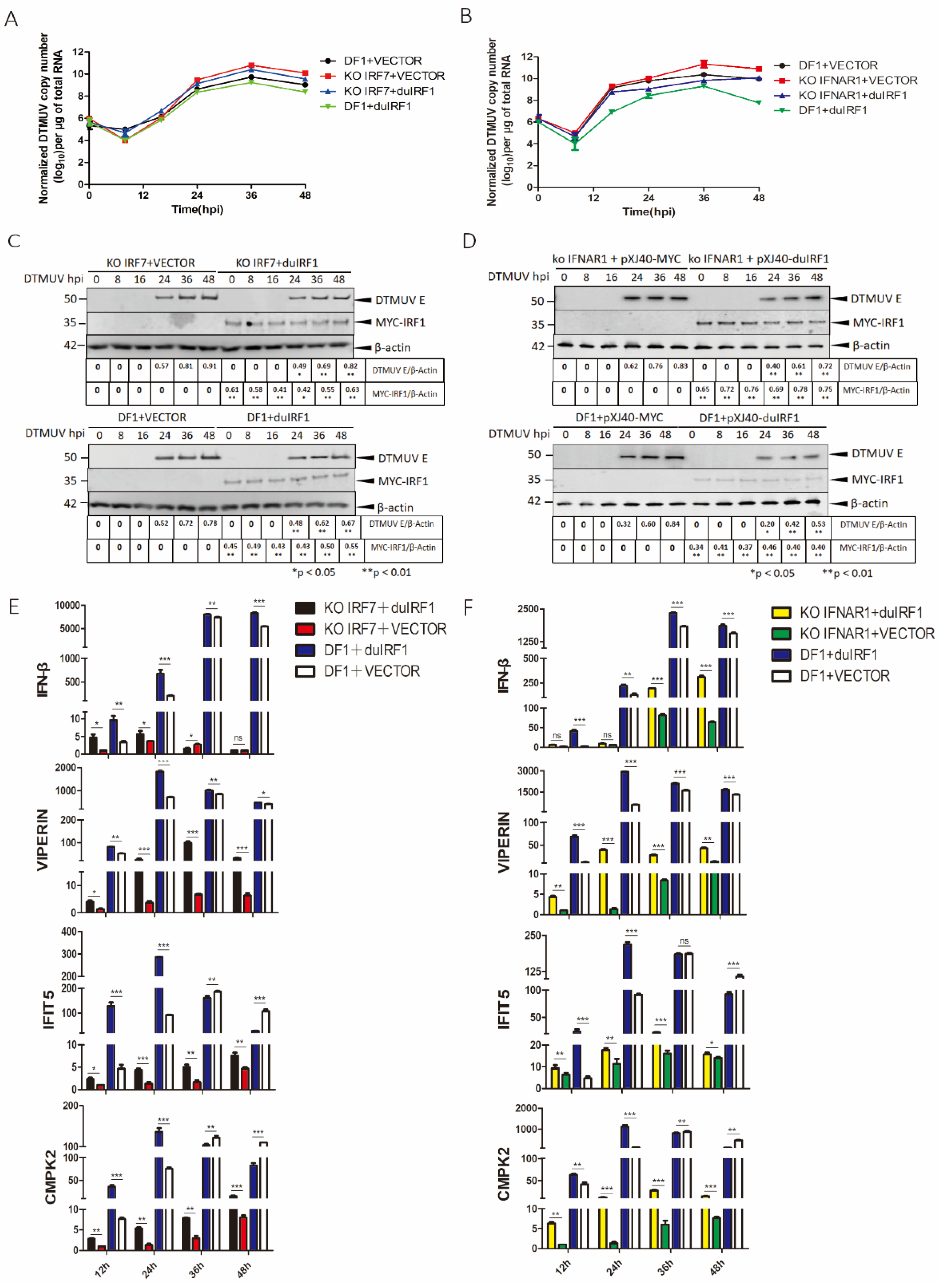 Viruses 14 01506 g004