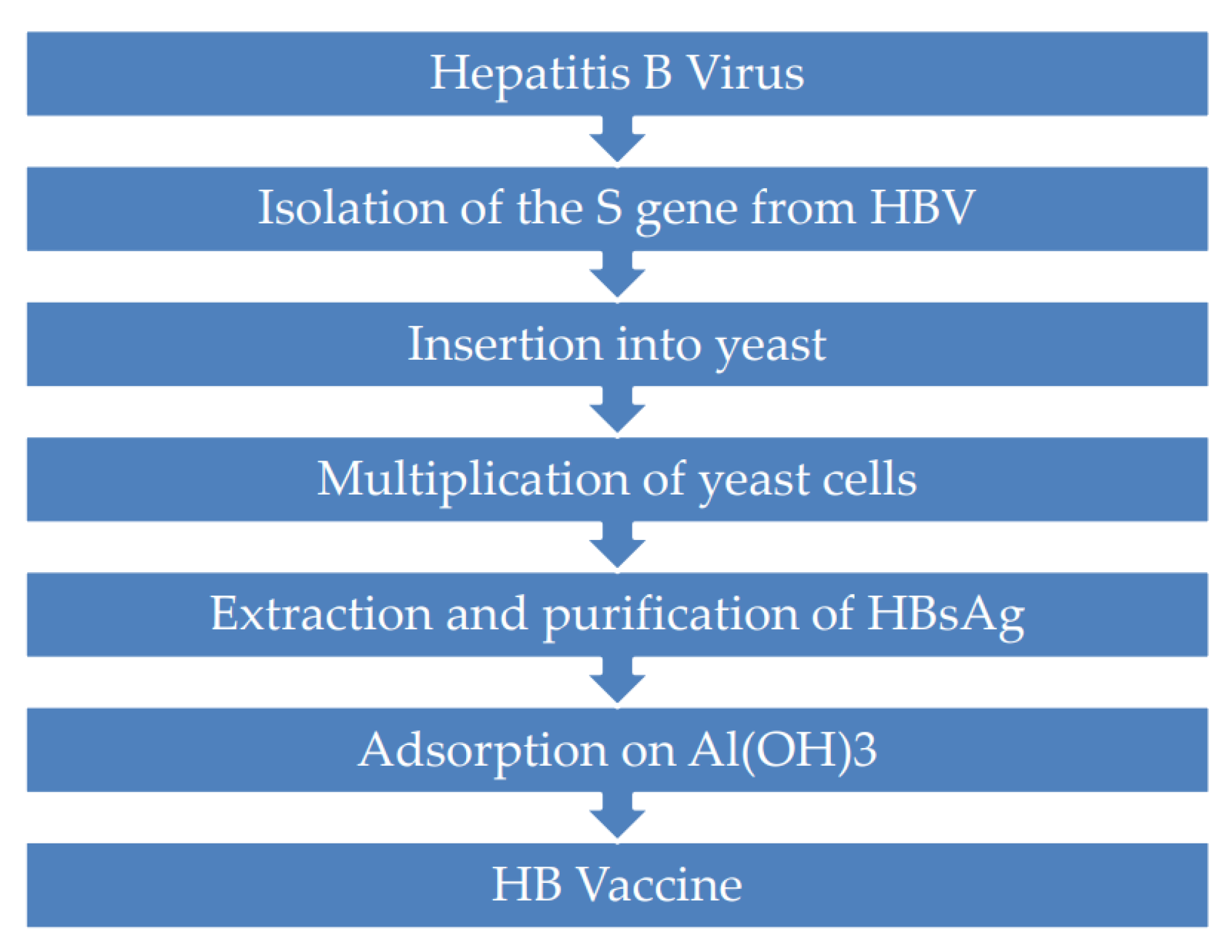 Viruses Free FullText Hepatitis B Vaccination A Historical
