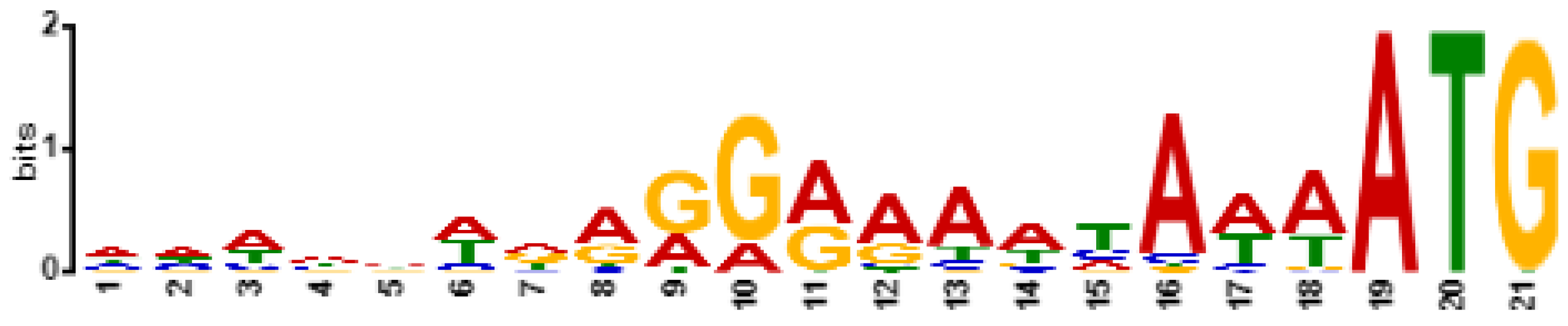 Viruses 14 01518 g007 550