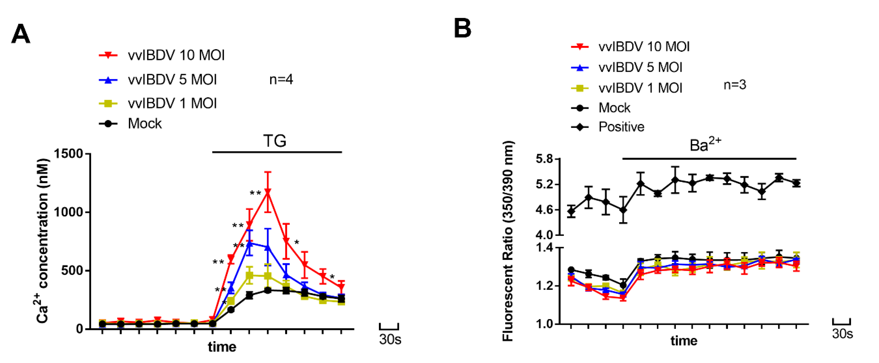 Viruses 14 01524 g002