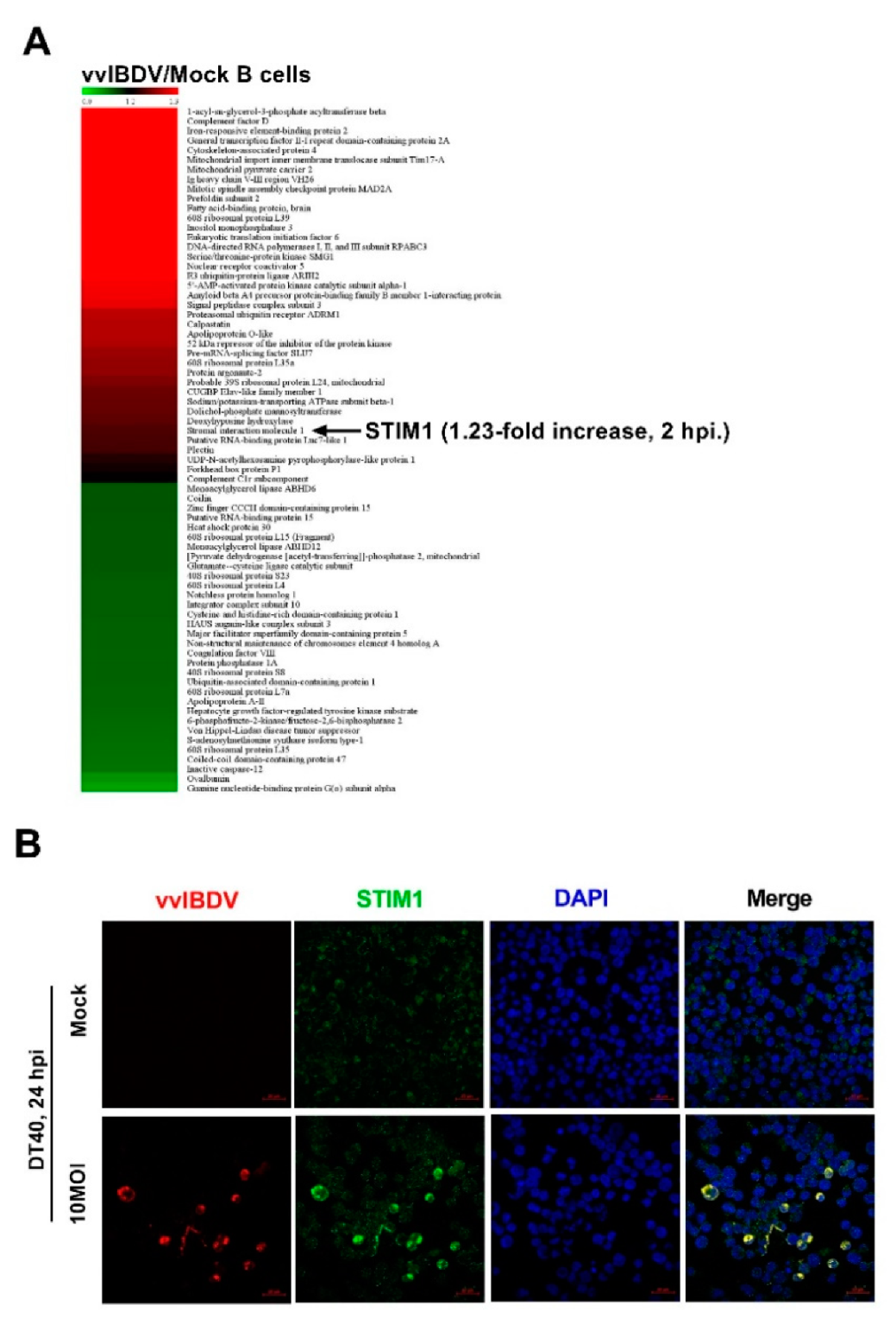 Viruses 14 01524 g003