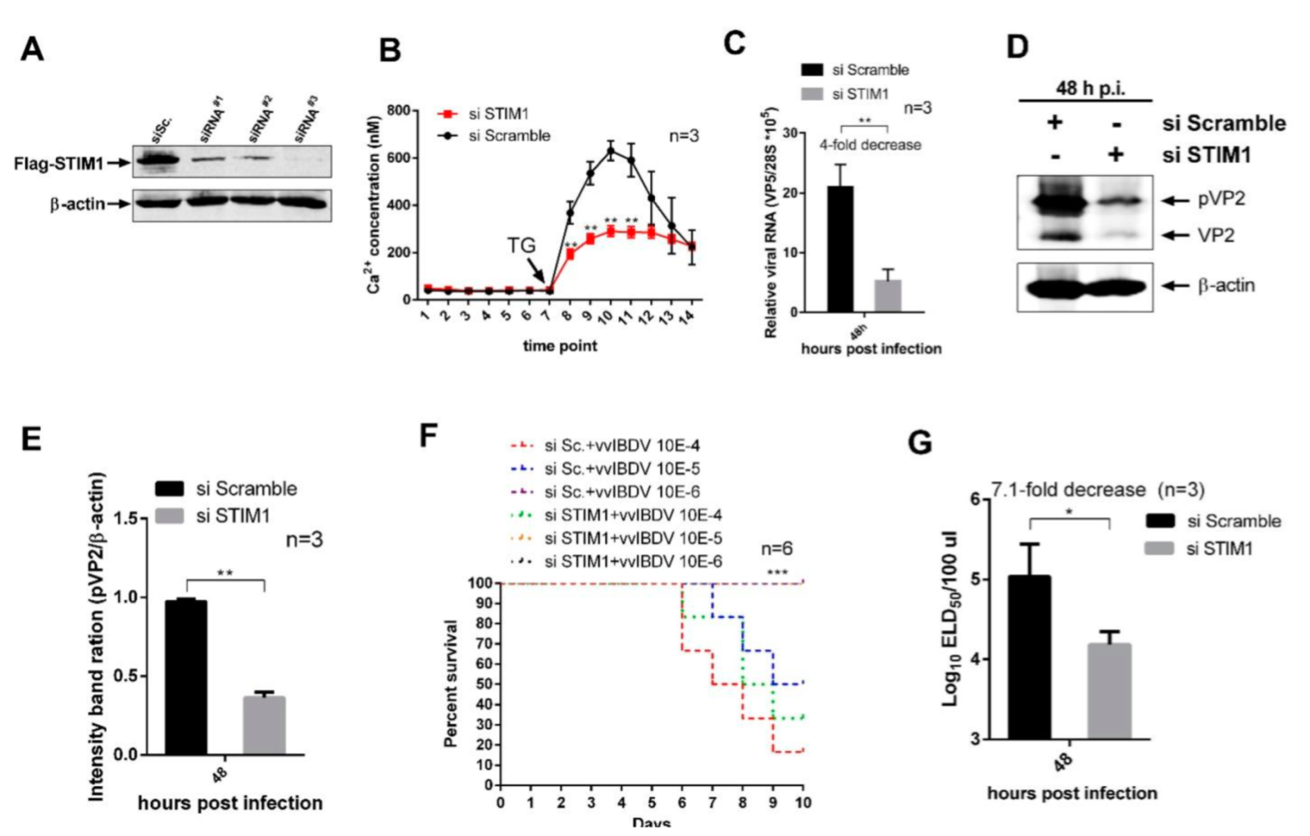 Viruses 14 01524 g004