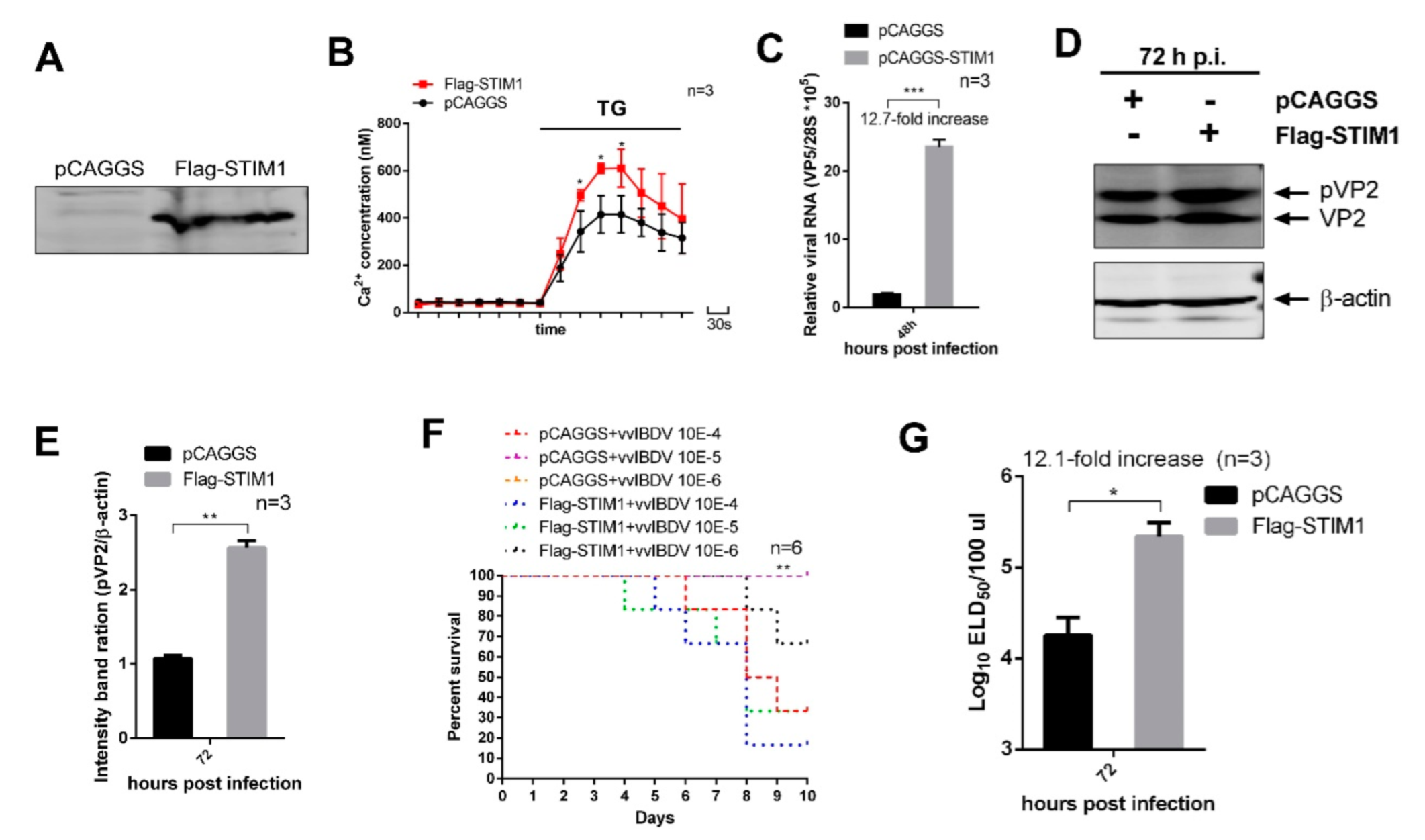 Viruses 14 01524 g005