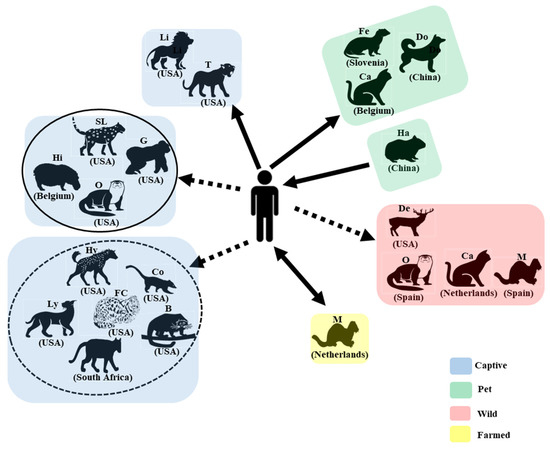 Coronavirus: 4 more tigers, 3 lions test positive for COVID-19 at