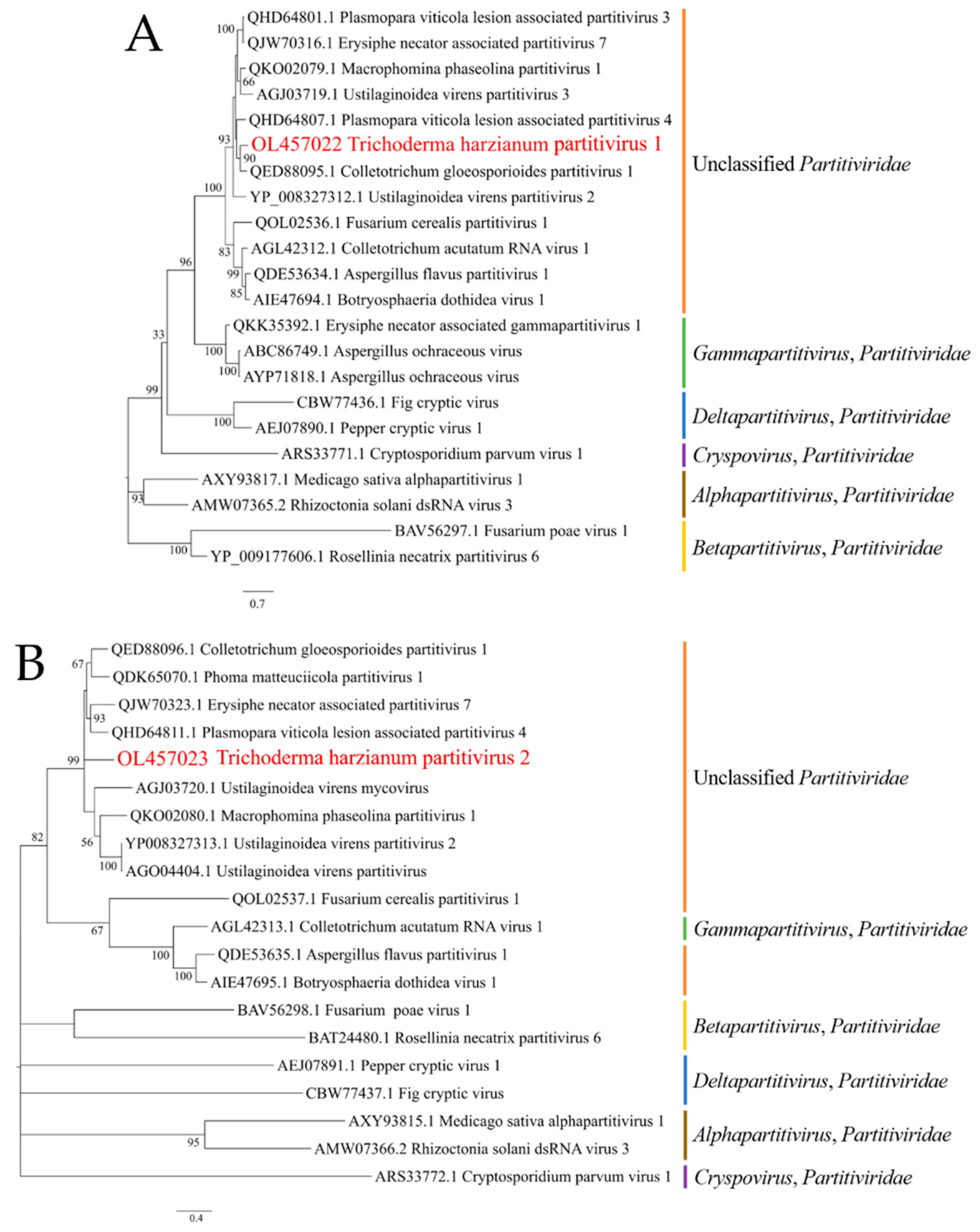Viruses 14 01532 g002 Viruses 14 01532 g002