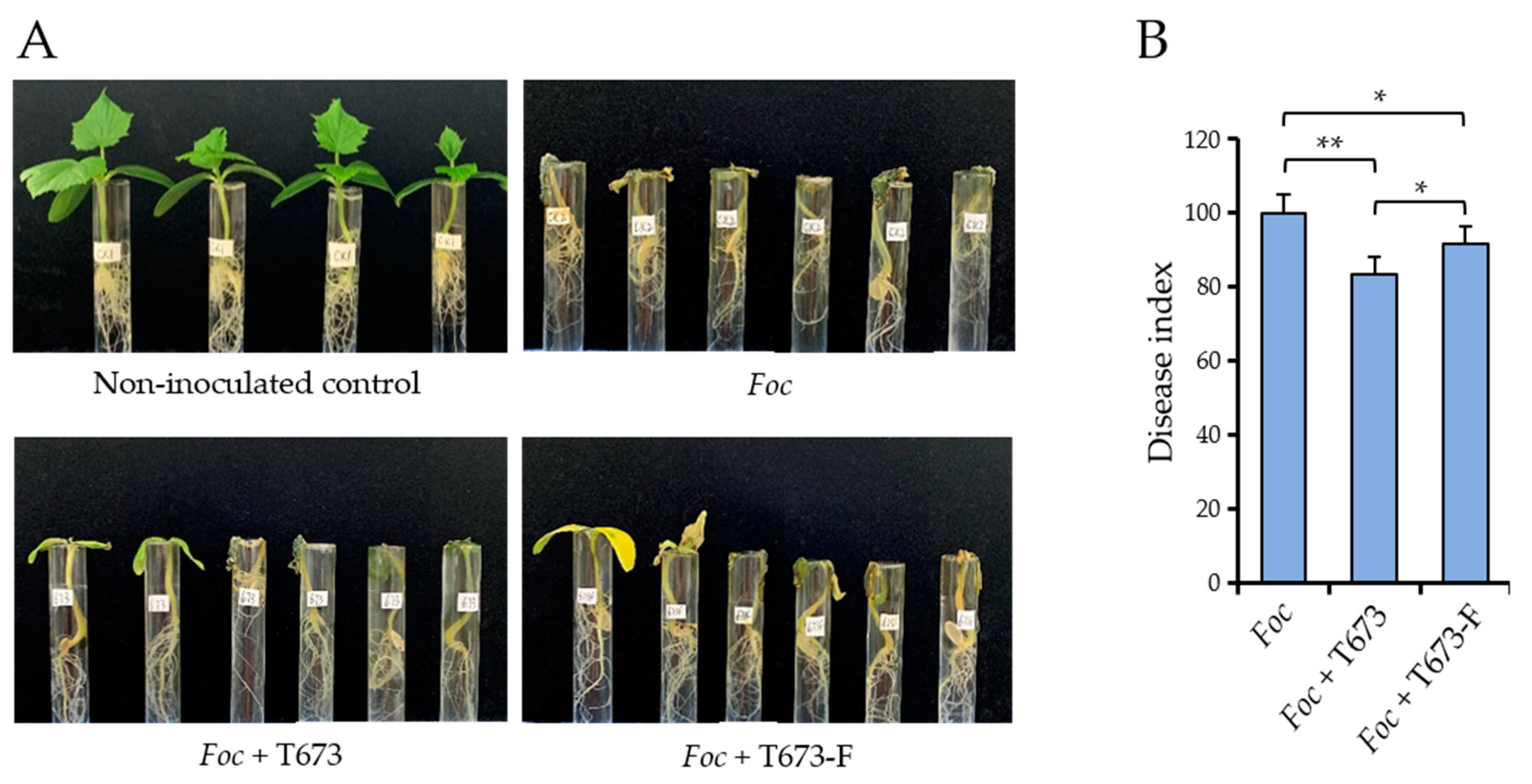 Viruses 14 01532 g007 Viruses 14 01532 g007