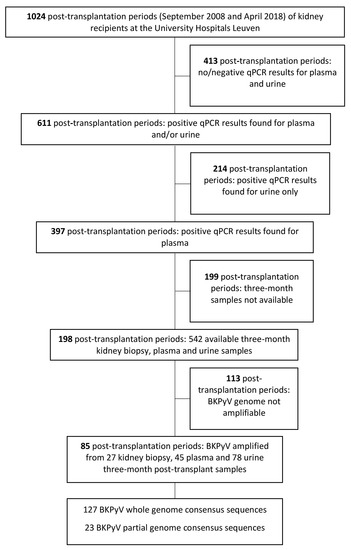 Polyomavirus BK Genome Comparison Shows High Genetic Diversity in 