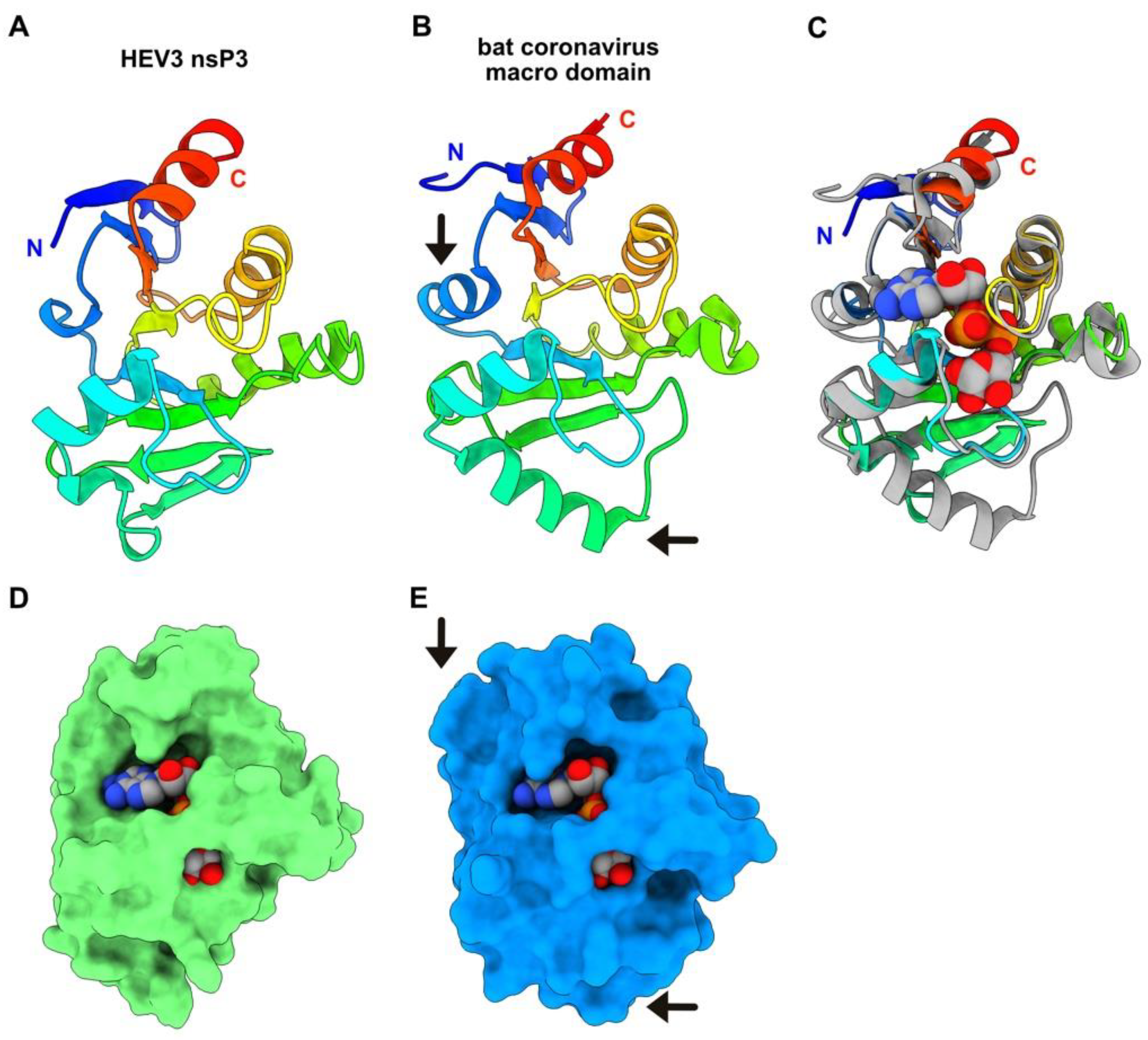 Viruses 14 01537 g004 550