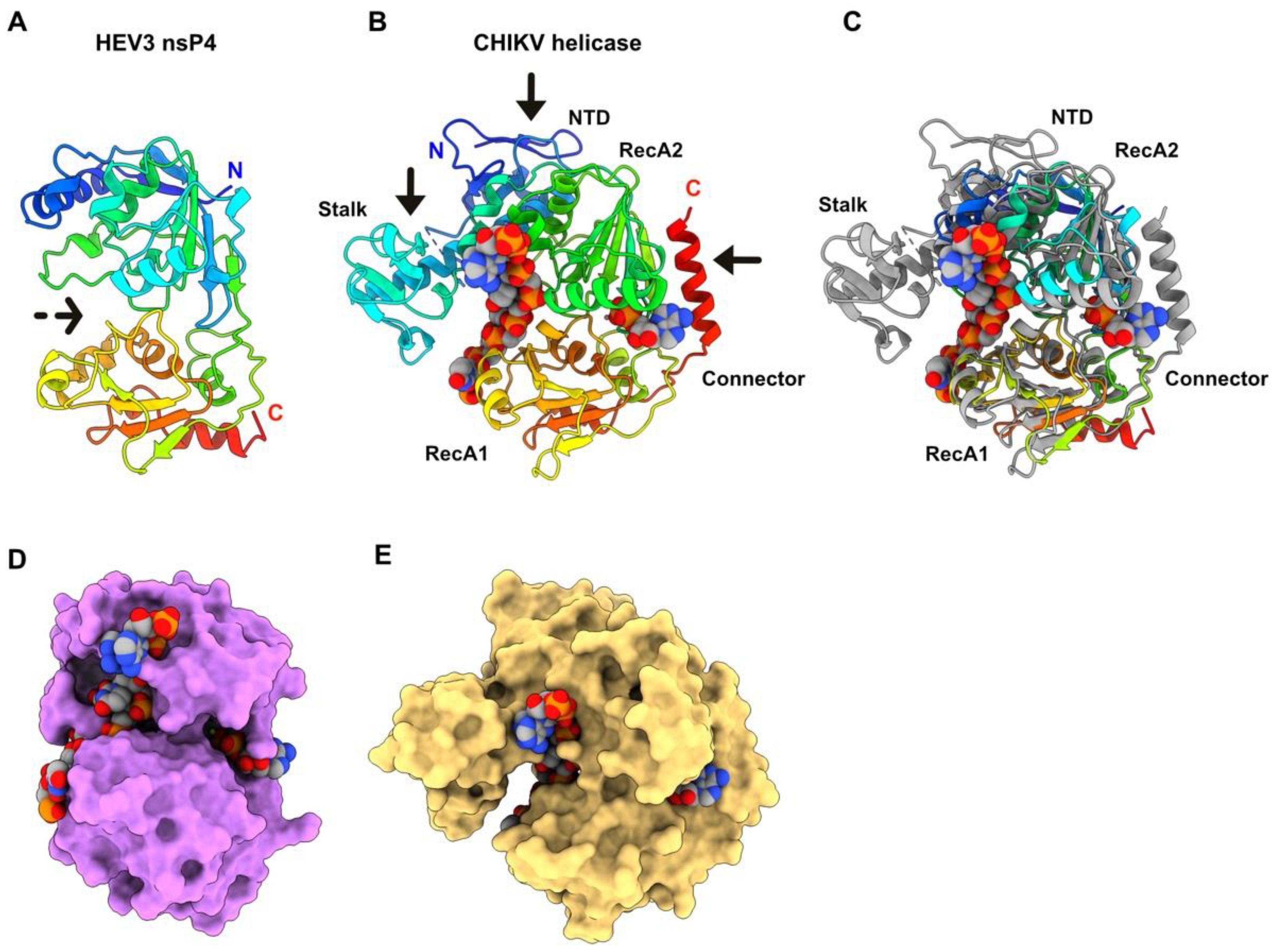 Viruses 14 01537 g005 550