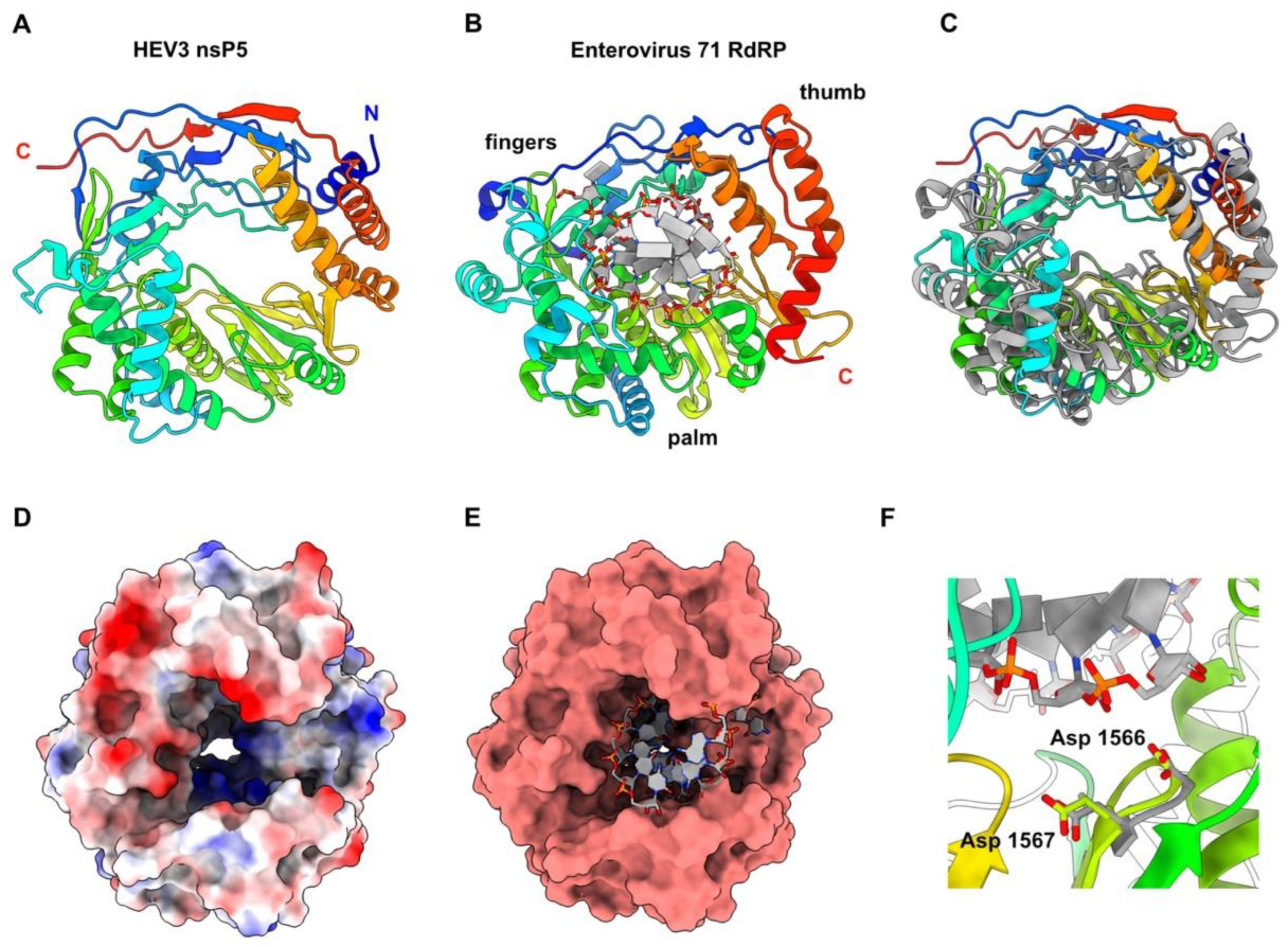 Viruses 14 01537 g006 550