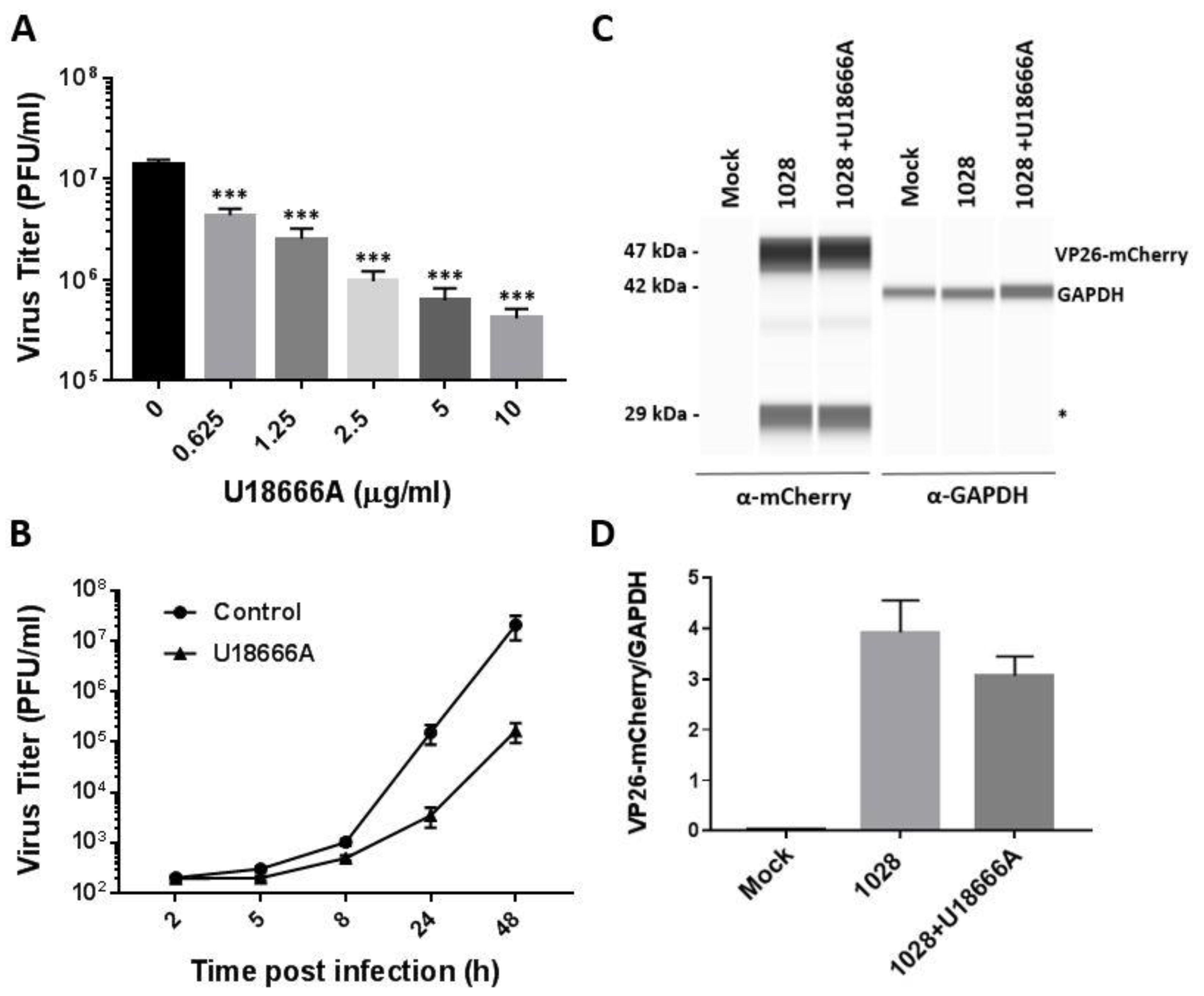 Viruses 14 01539 g005