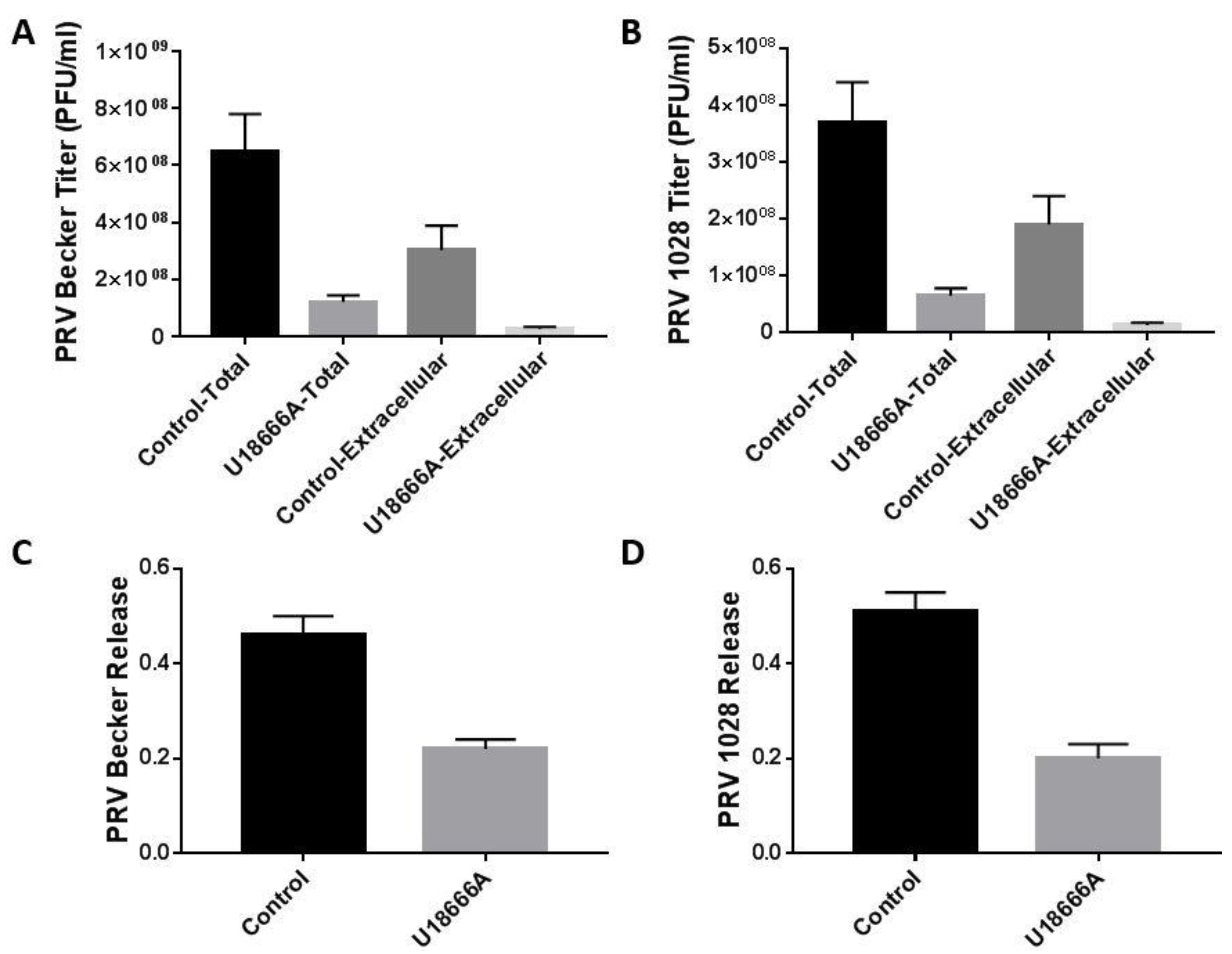 Viruses 14 01539 g008