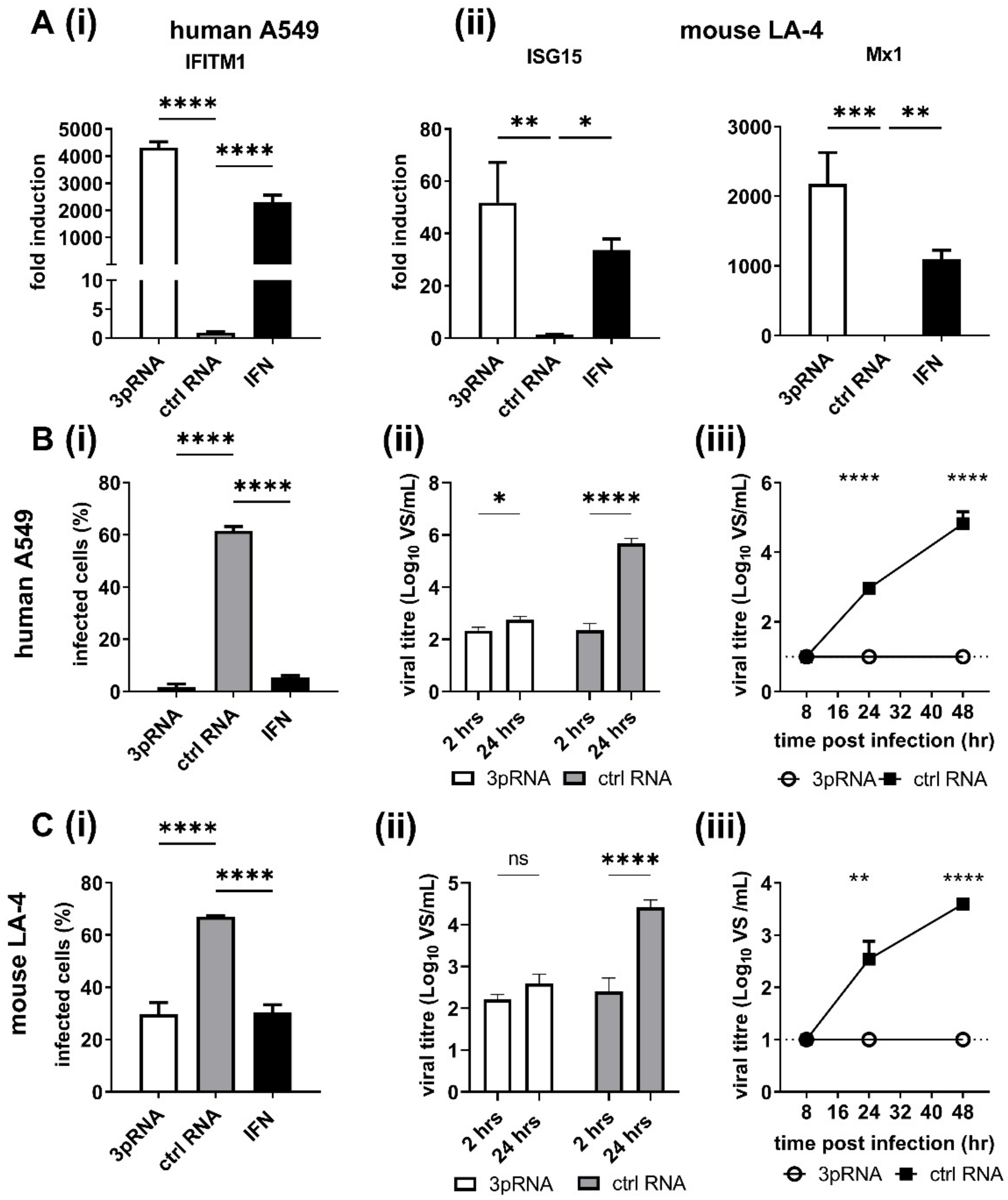 Viruses 14 01547 g001 550