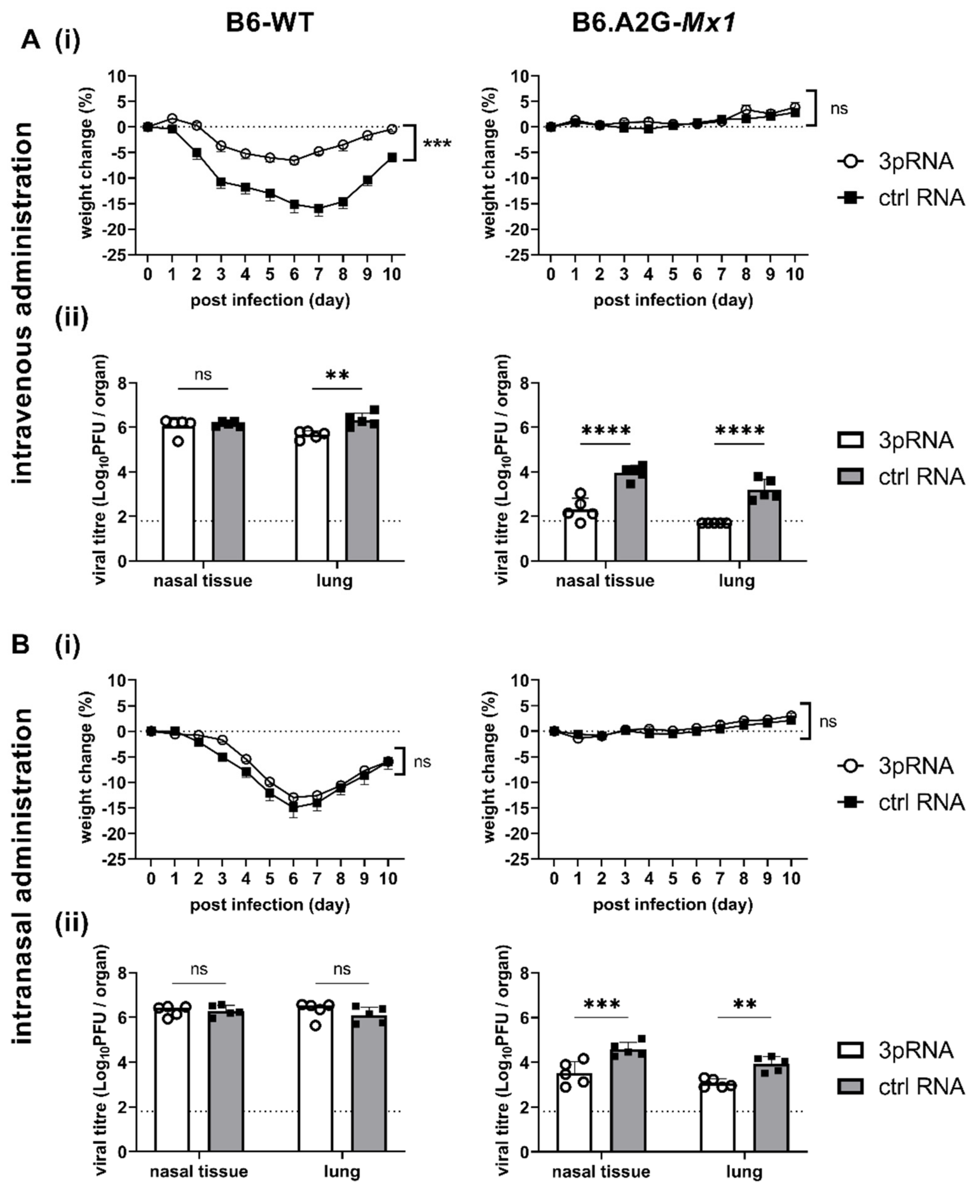 Viruses 14 01547 g003 550