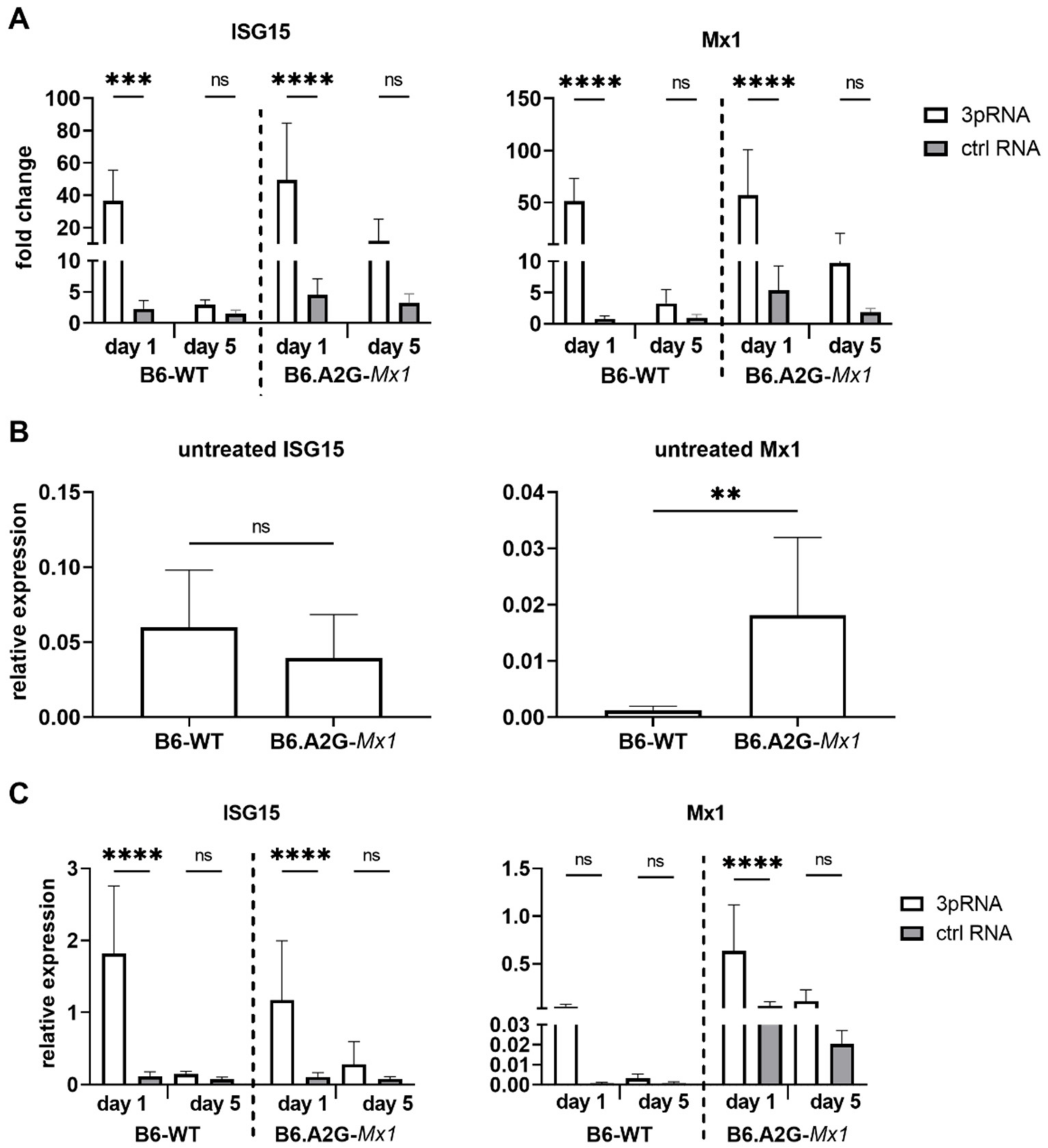 Viruses 14 01547 g004 550