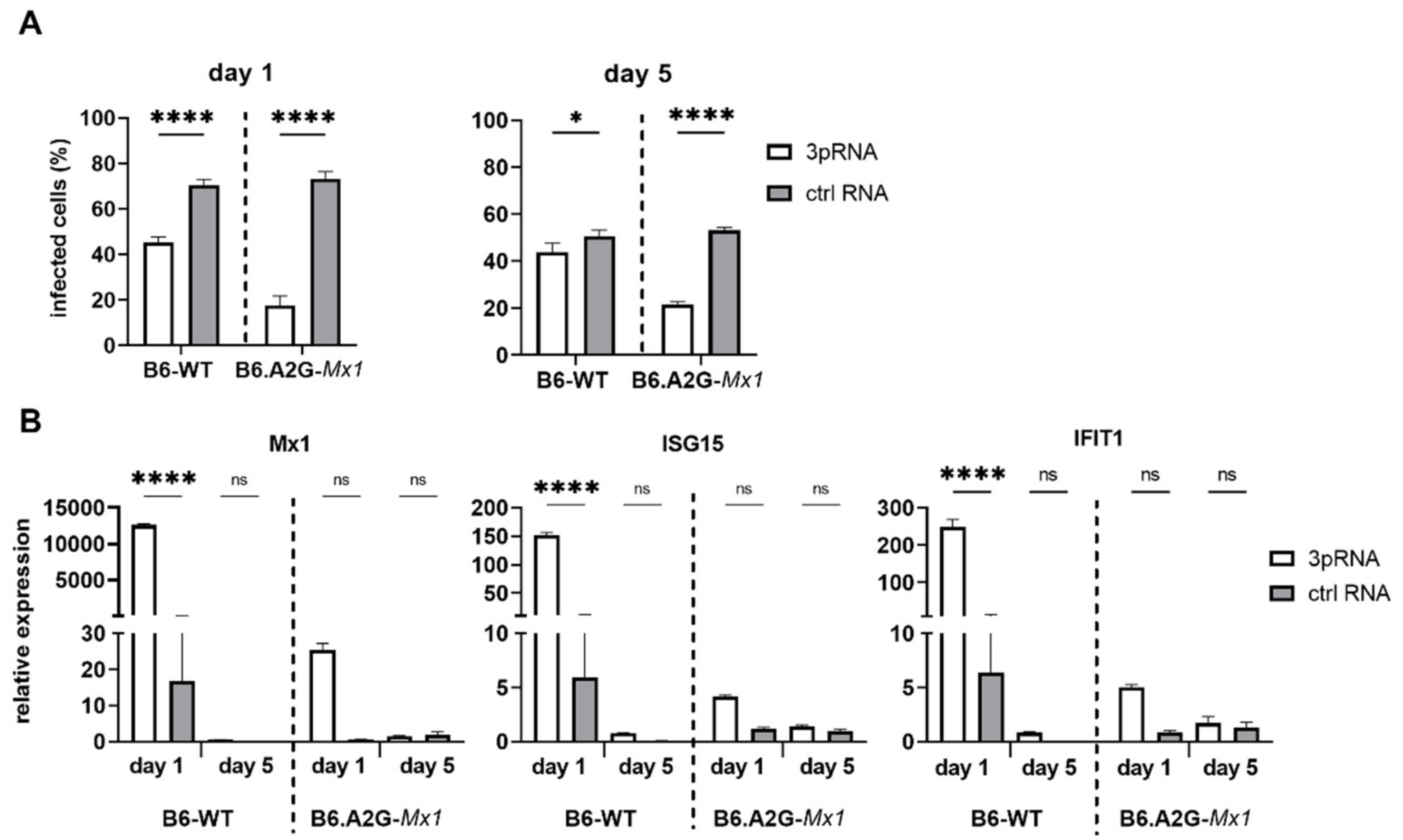 Viruses 14 01547 g005 550