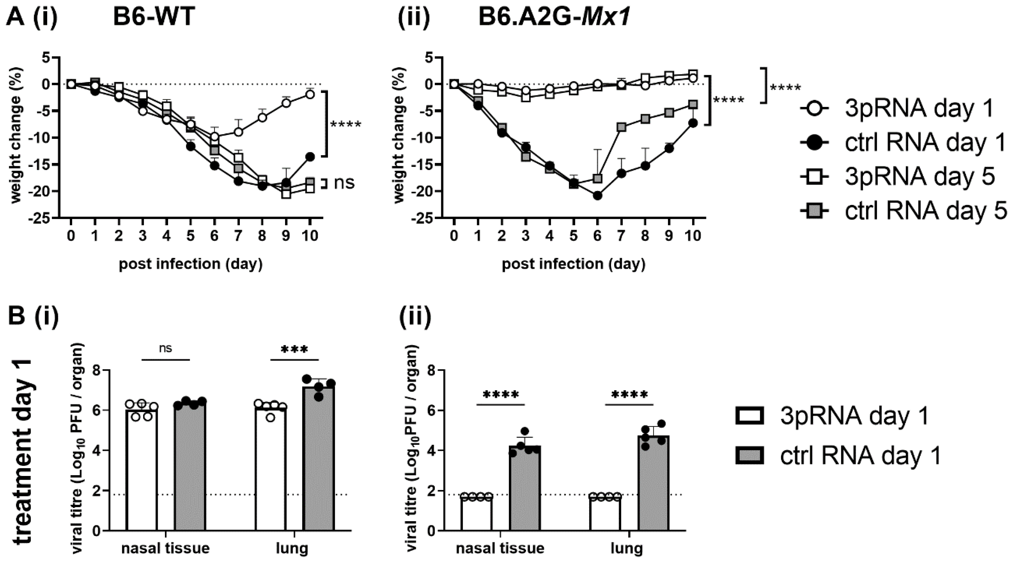 Viruses 14 01547 g006a 550