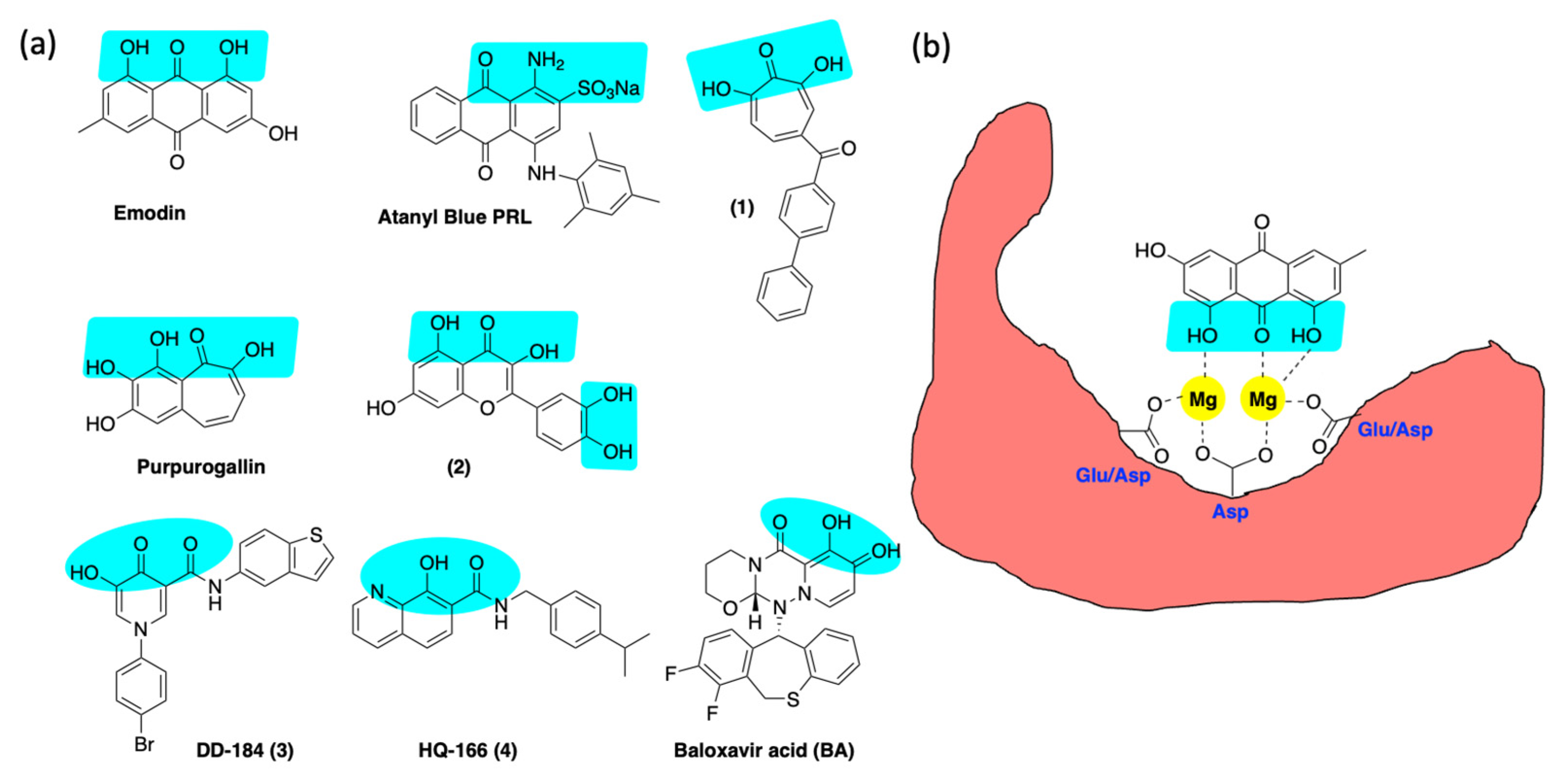 Viruses 14 01557 g005 Viruses 14 01557 g005