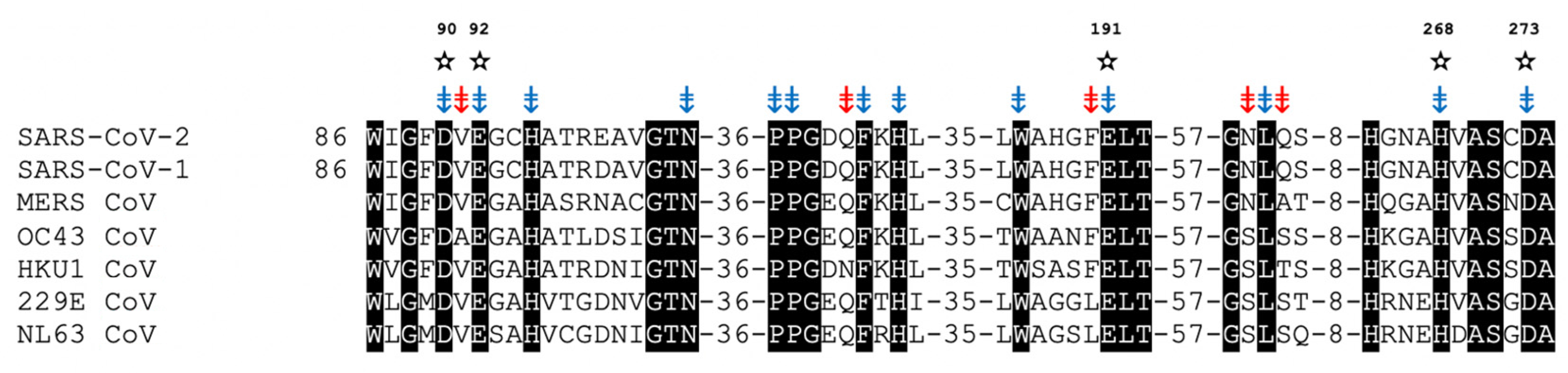 Viruses 14 01557 g007 Viruses 14 01557 g007