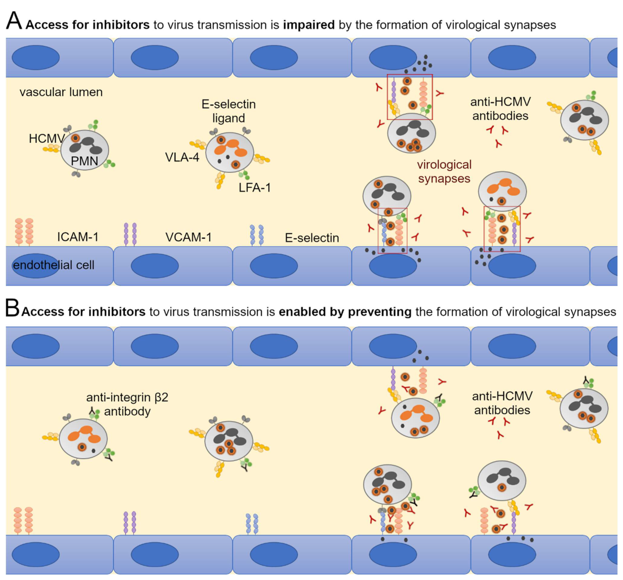 Viruses 14 01561 g009