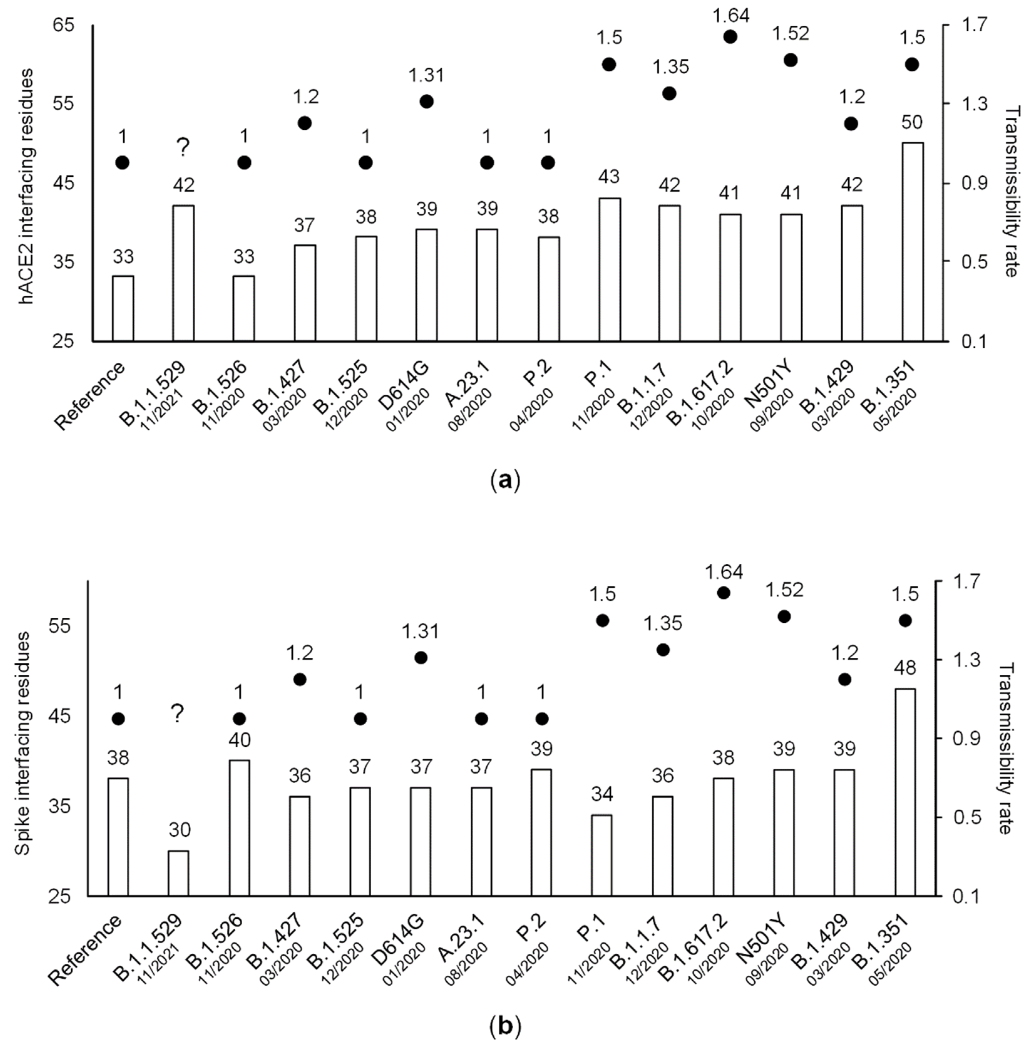 Viruses 14 01565 g002