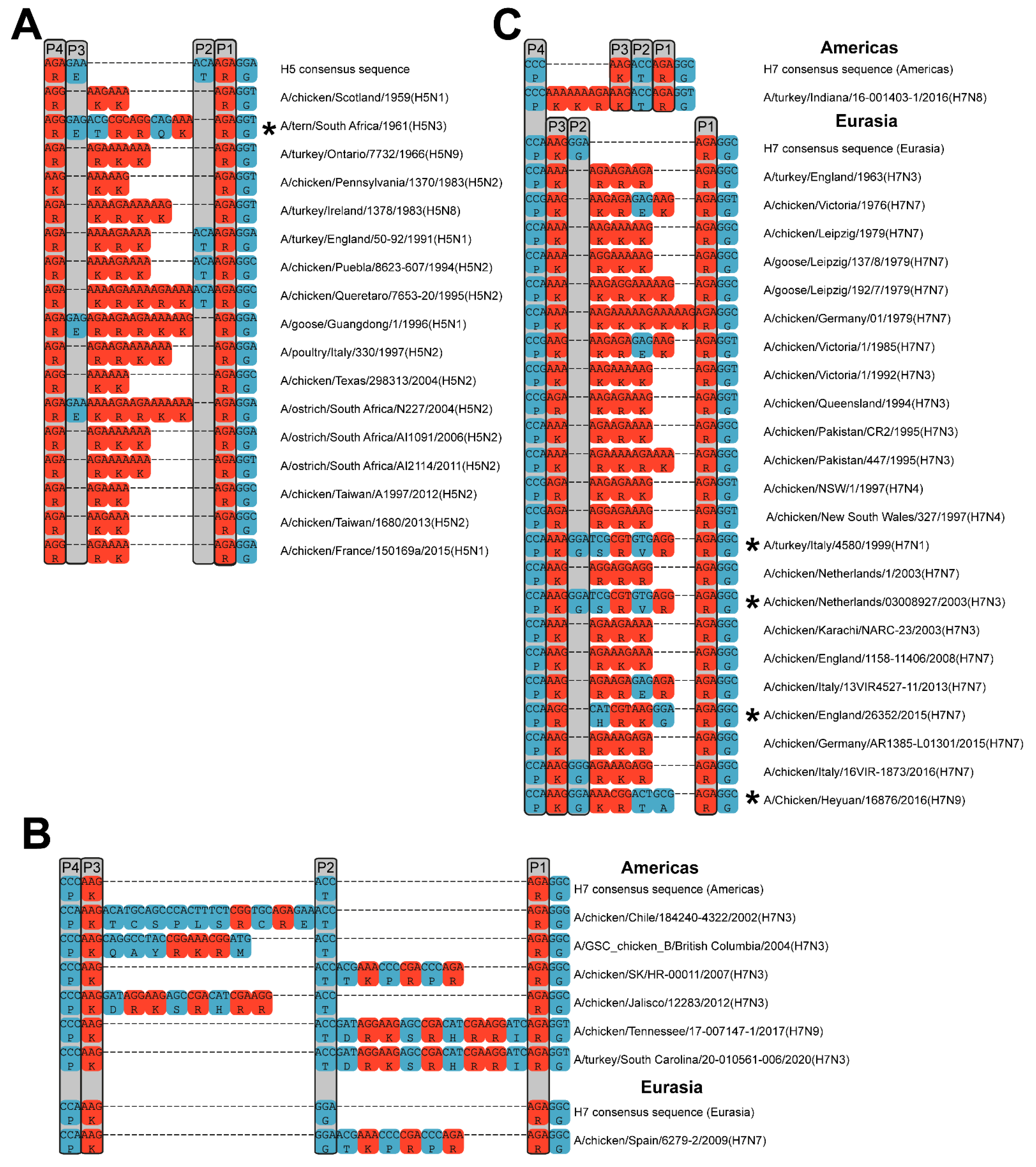 Viruses 14 01566 g003 Viruses 14 01566 g003