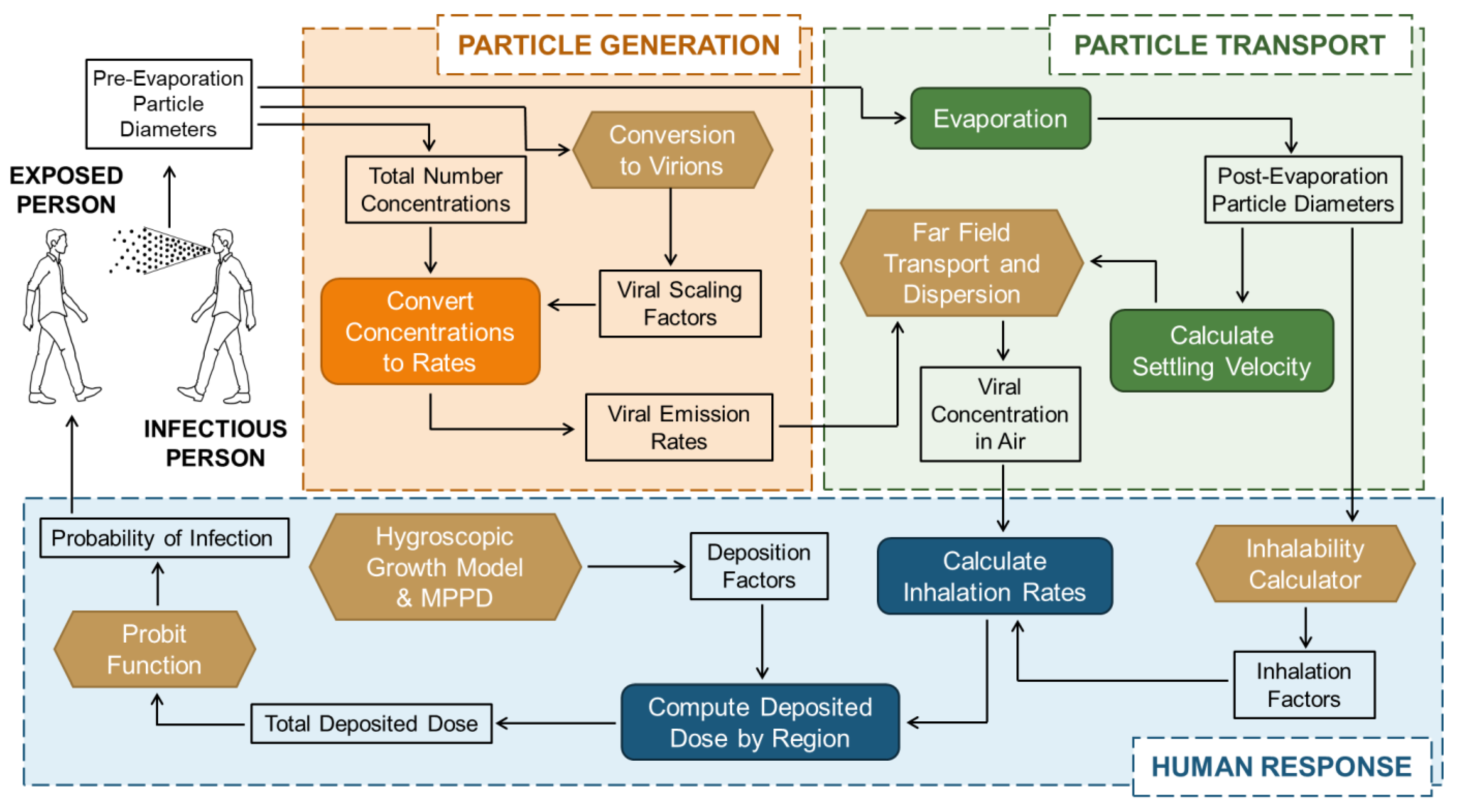 Viruses 14 01567 g001