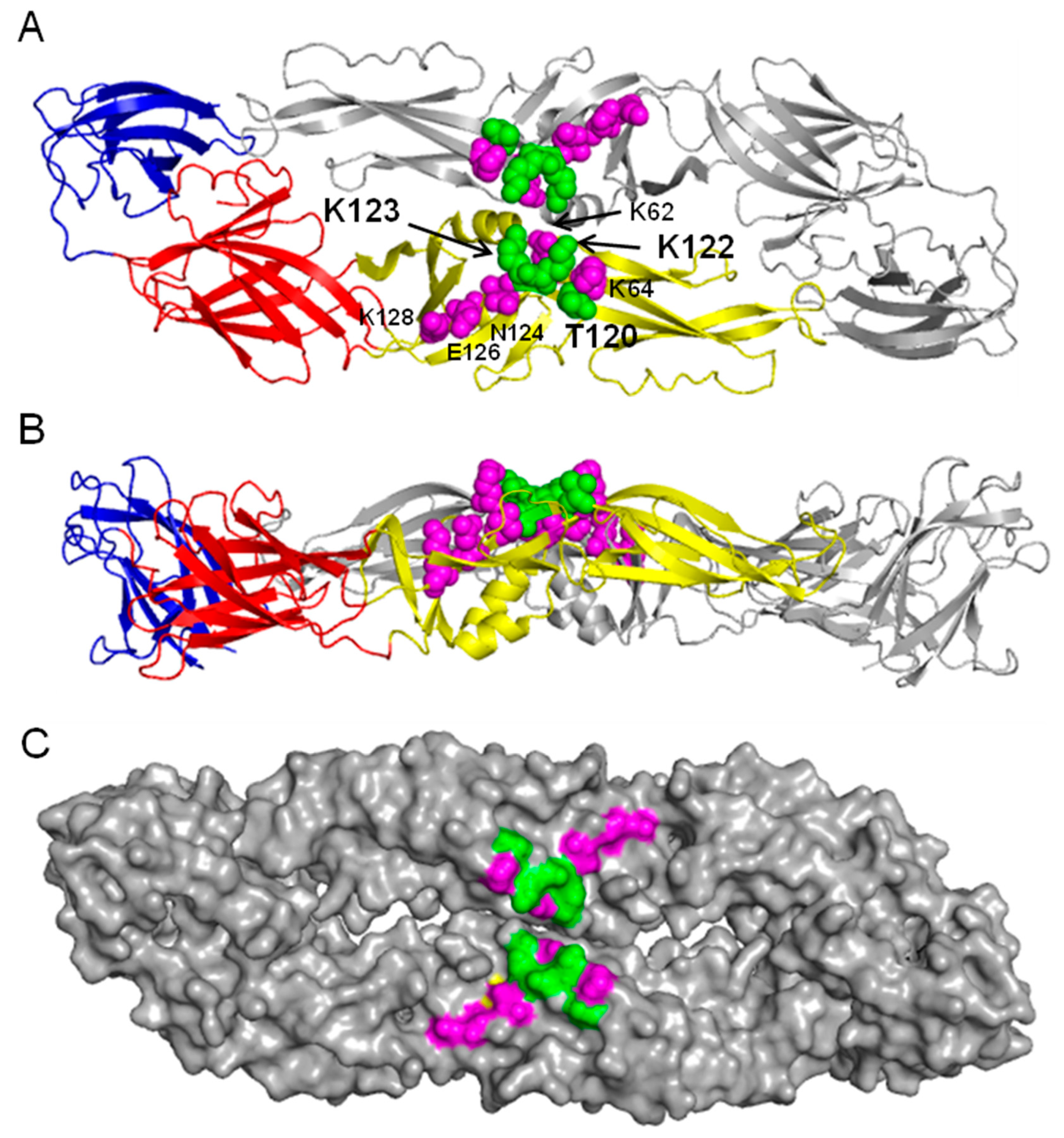 Viruses 14 01569 g002 Viruses 14 01569 g002