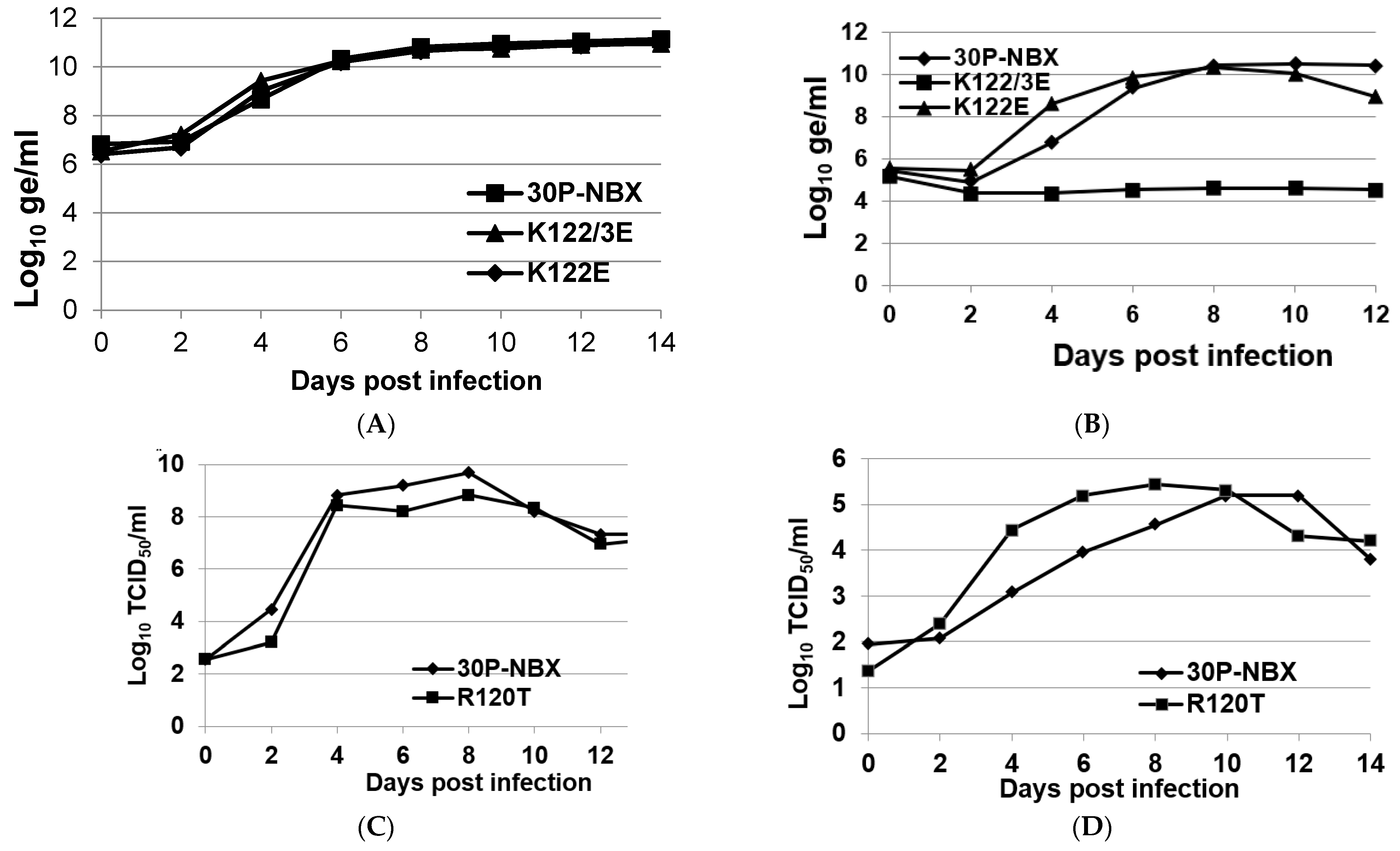 Viruses 14 01569 g003a Viruses 14 01569 g003a