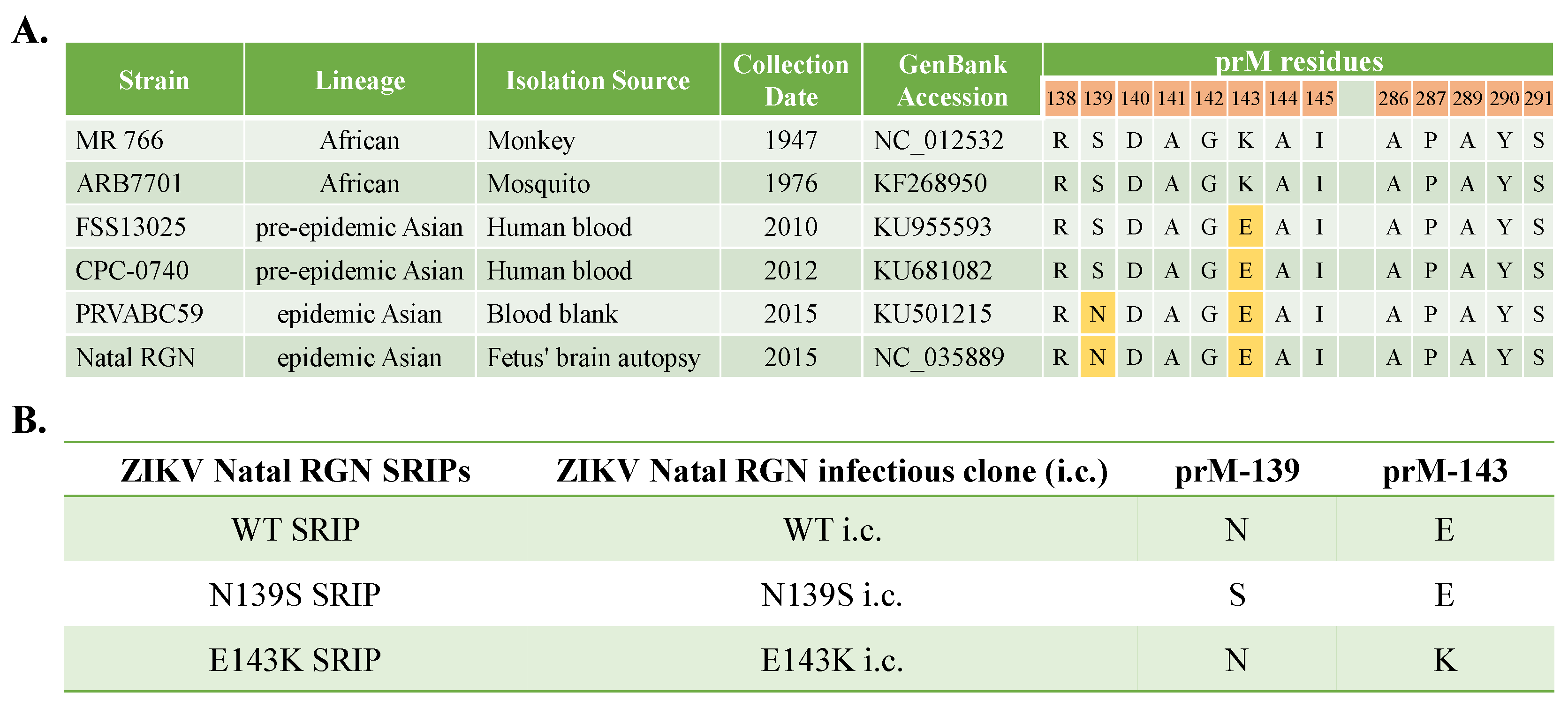 Viruses 14 01572 g001 Viruses 14 01572 g001