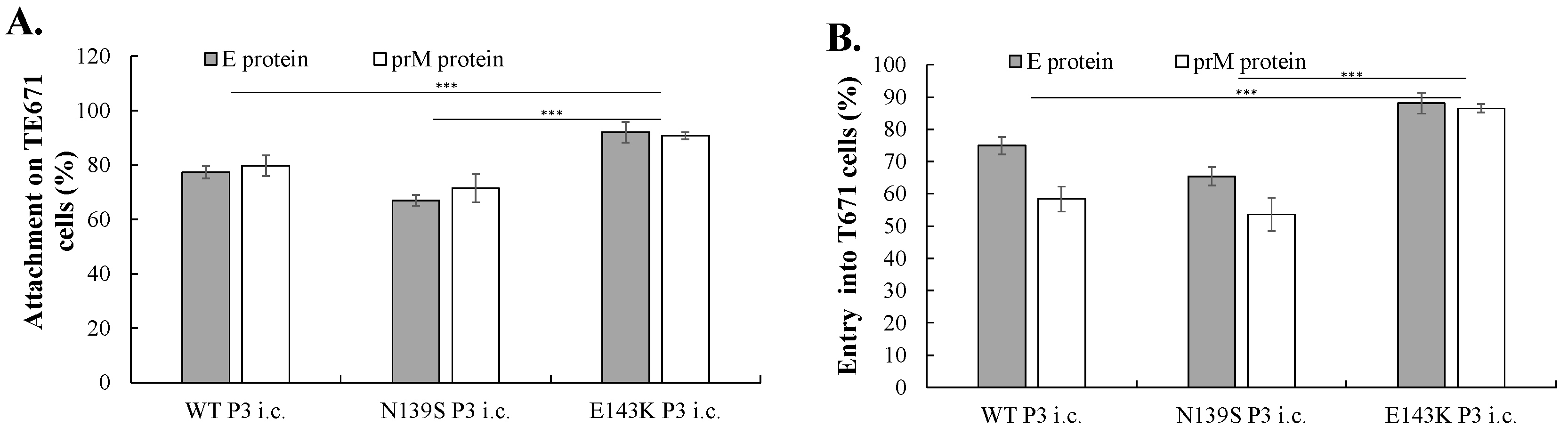 Viruses 14 01572 g007a Viruses 14 01572 g007a