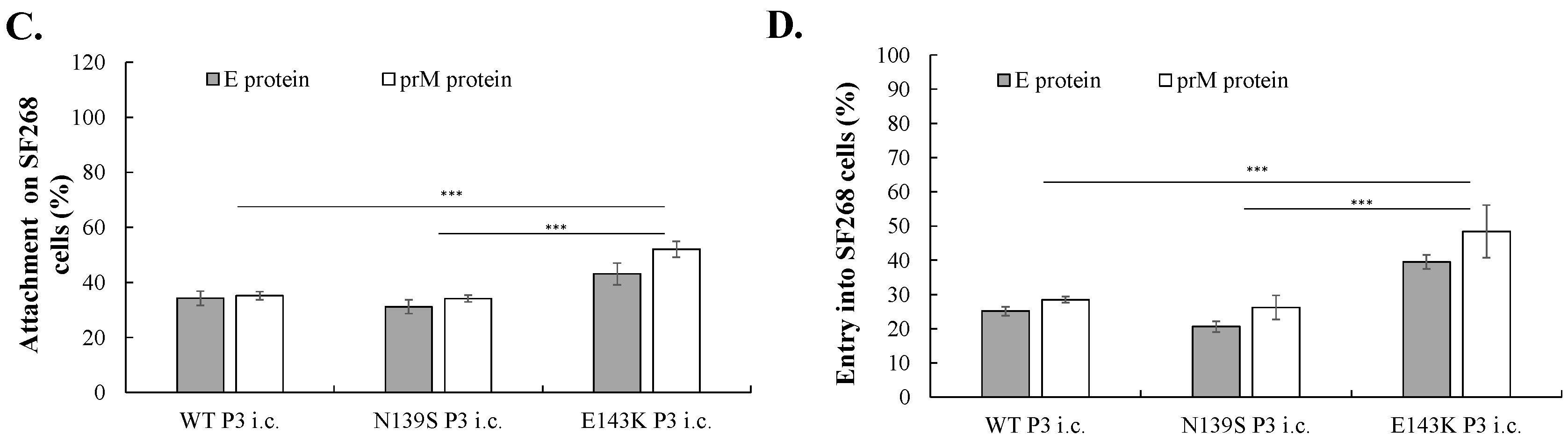 Viruses 14 01572 g007b Viruses 14 01572 g007b
