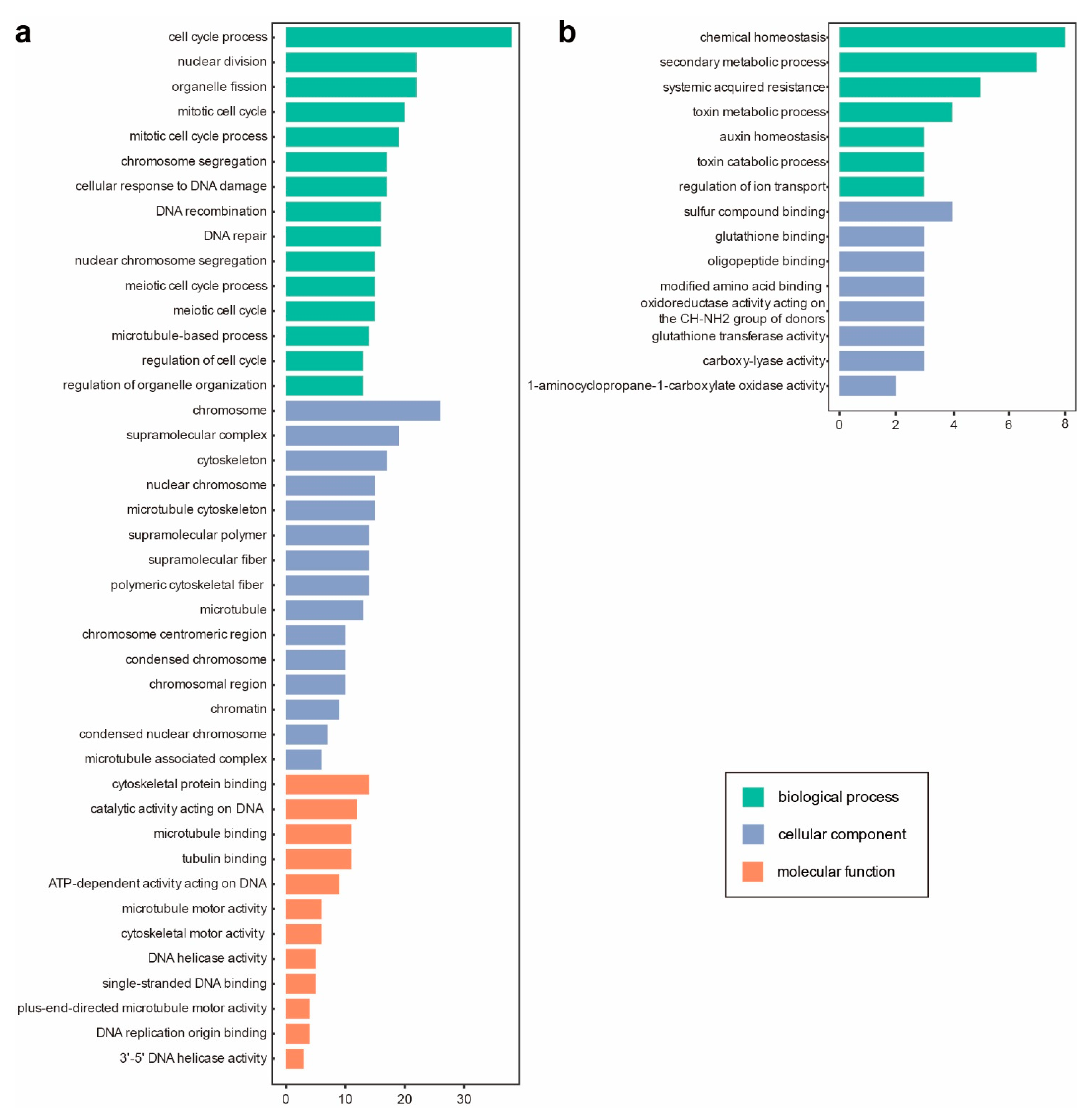 Viruses 14 01582 g002