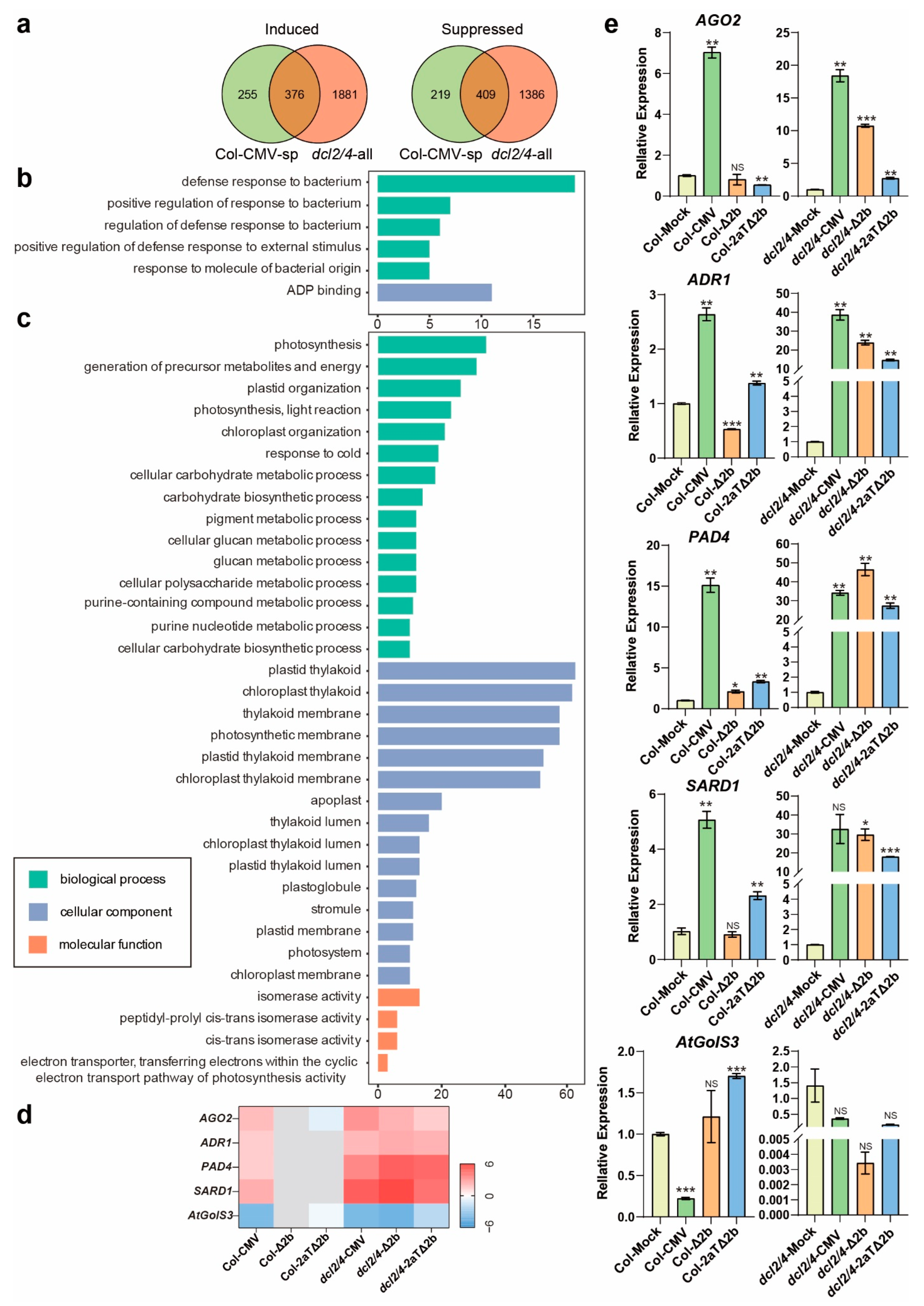 Viruses 14 01582 g003