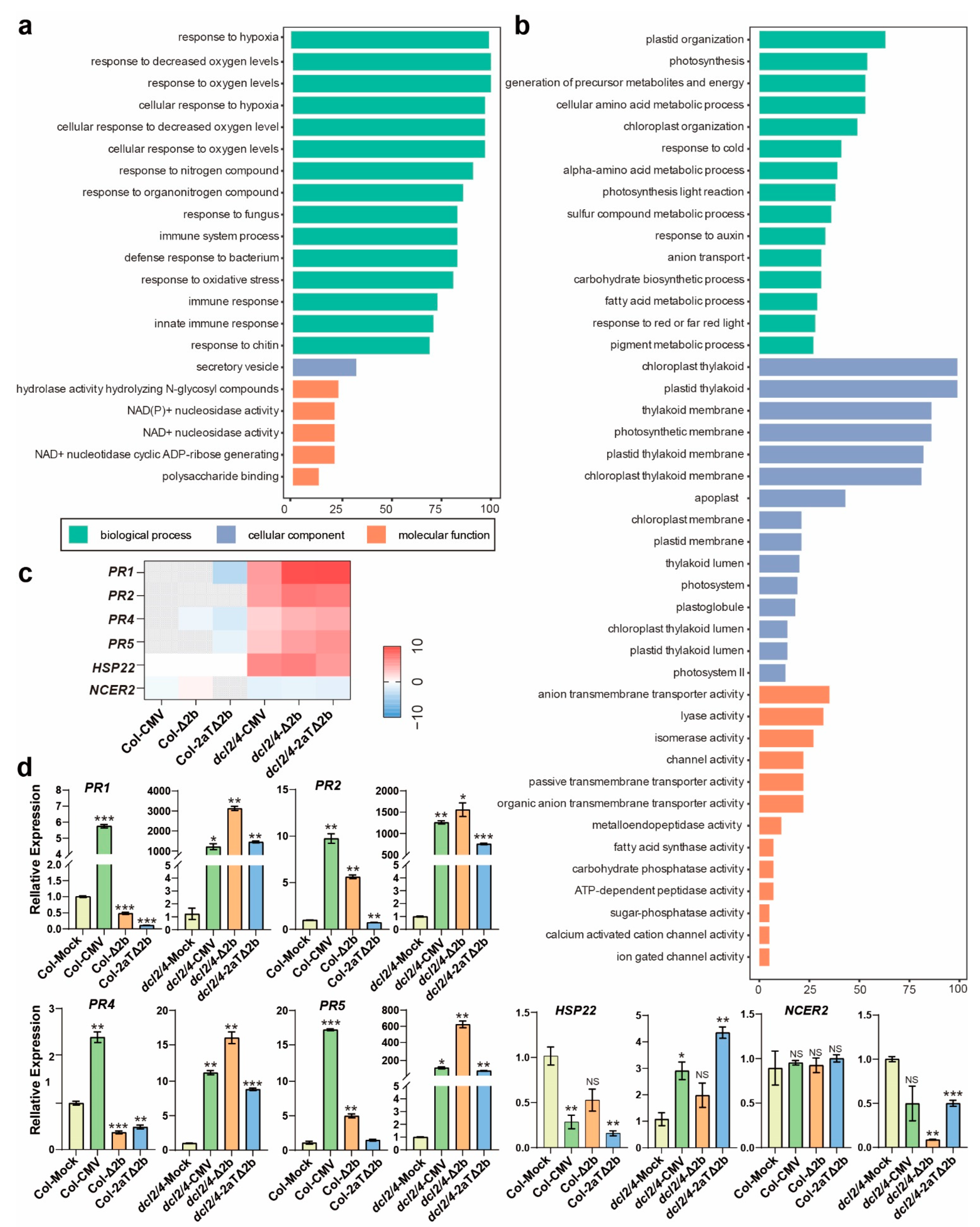 Viruses 14 01582 g005