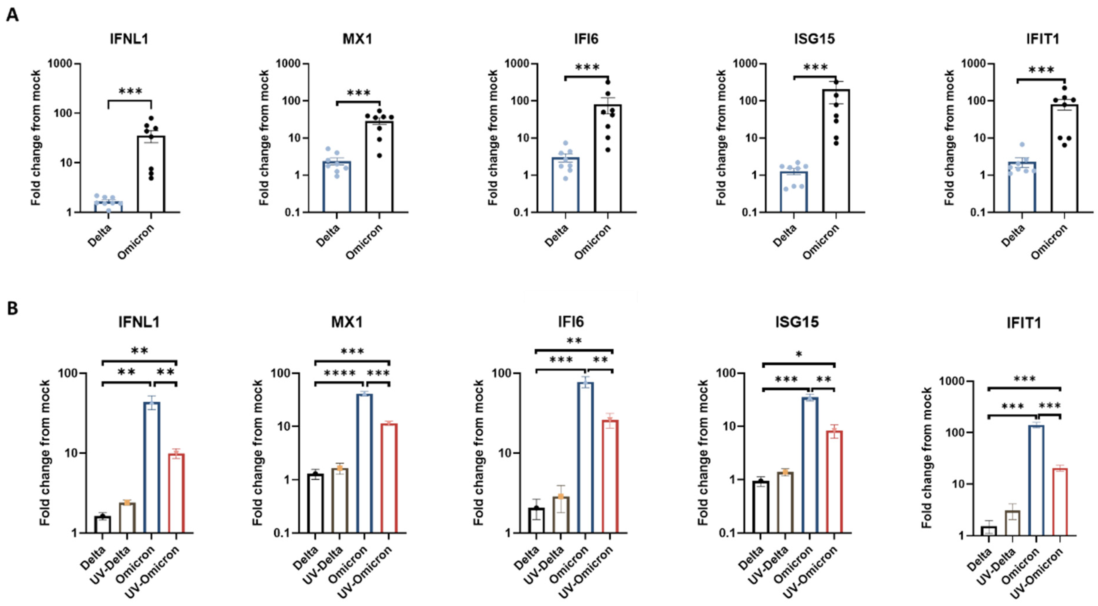 Viruses 14 01583 g002