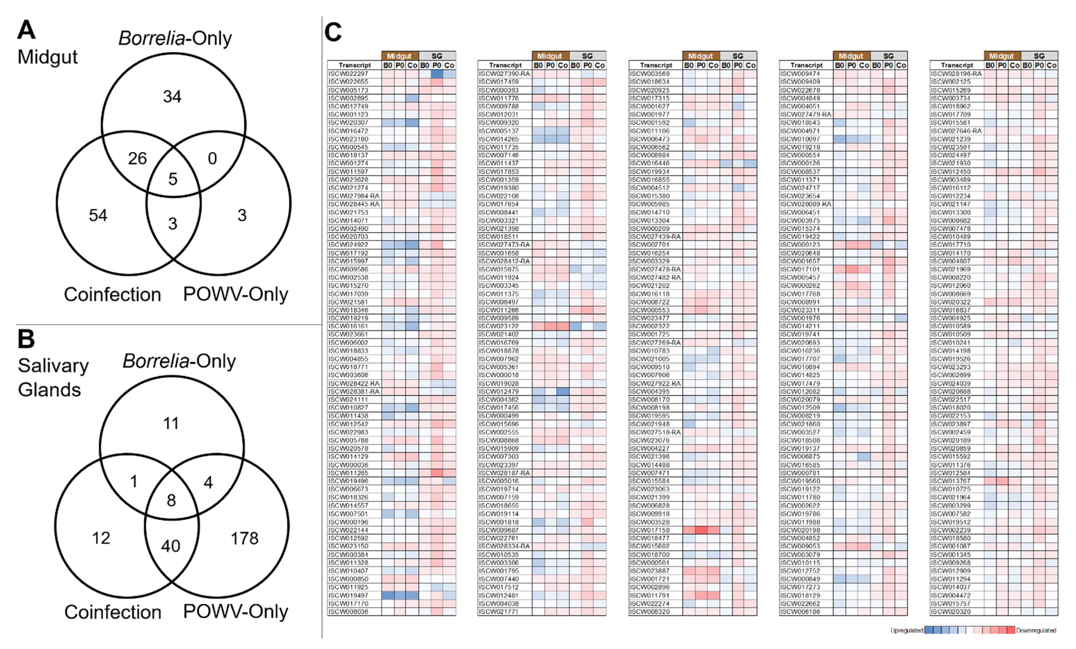 Viruses 14 01584 g002