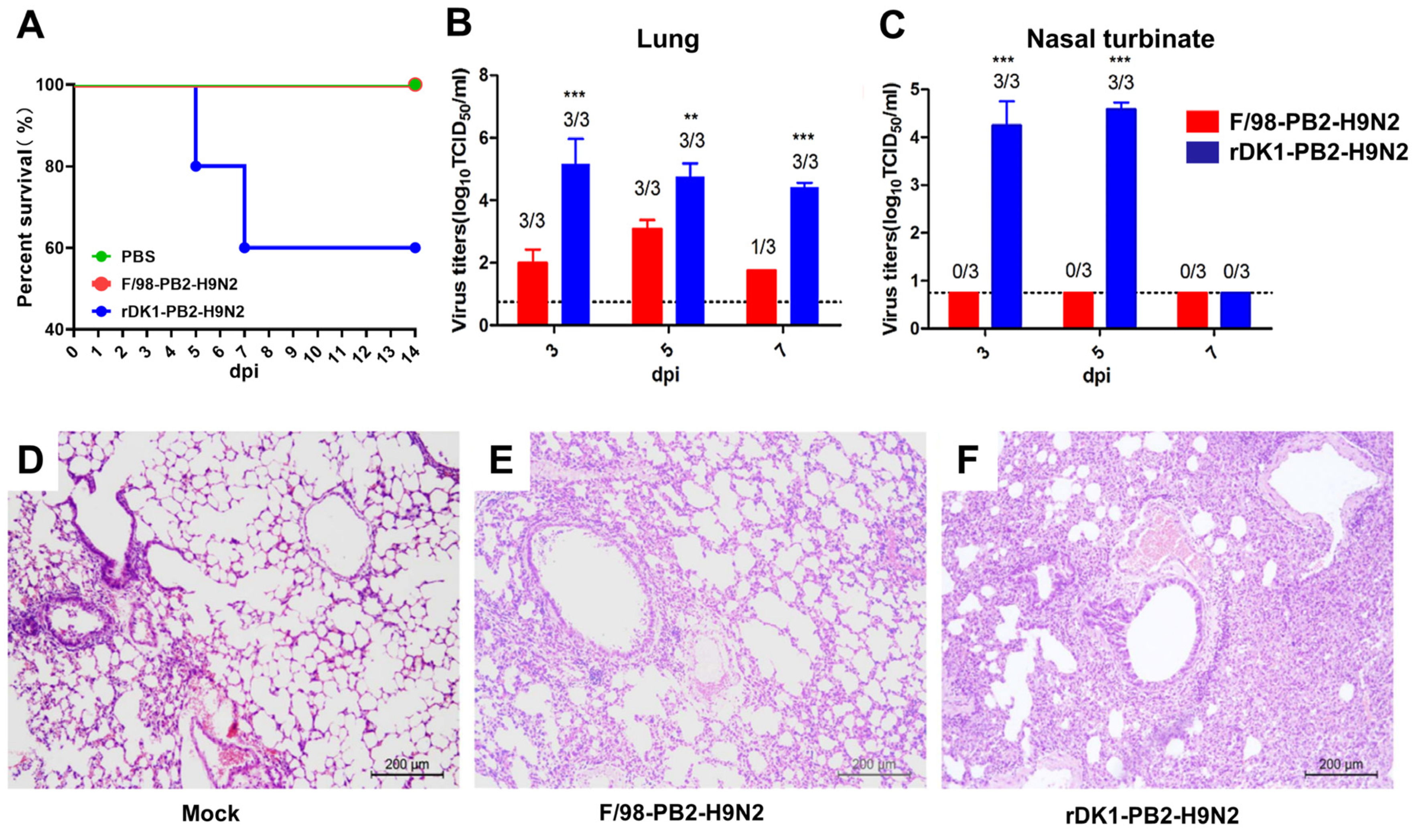 Viruses 14 01585 g002