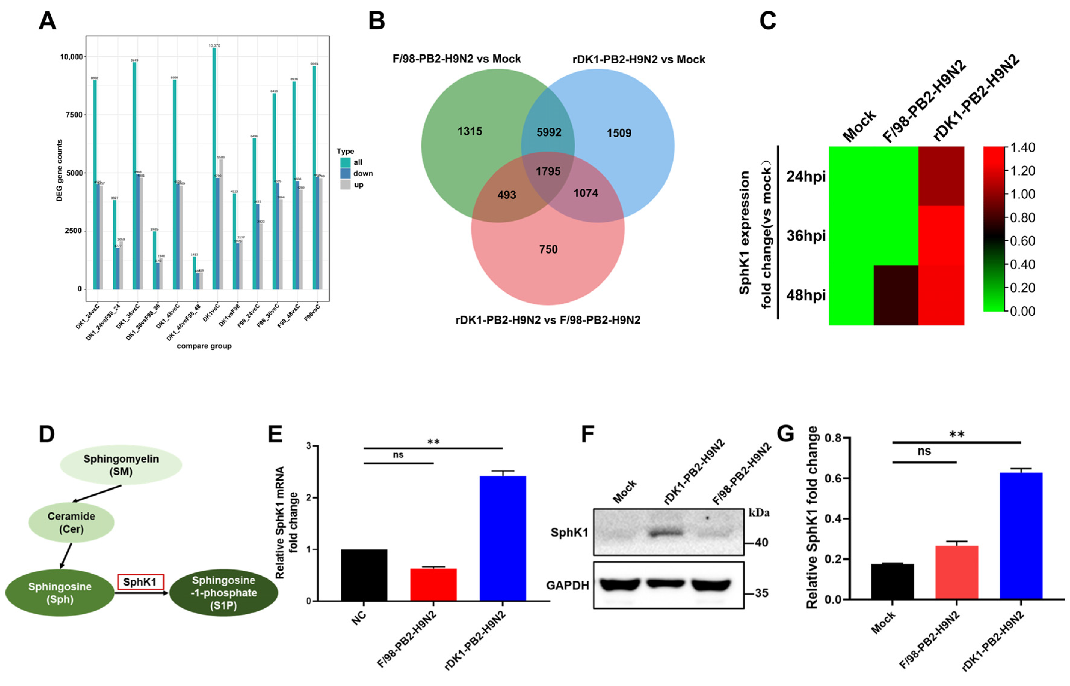 Viruses 14 01585 g003