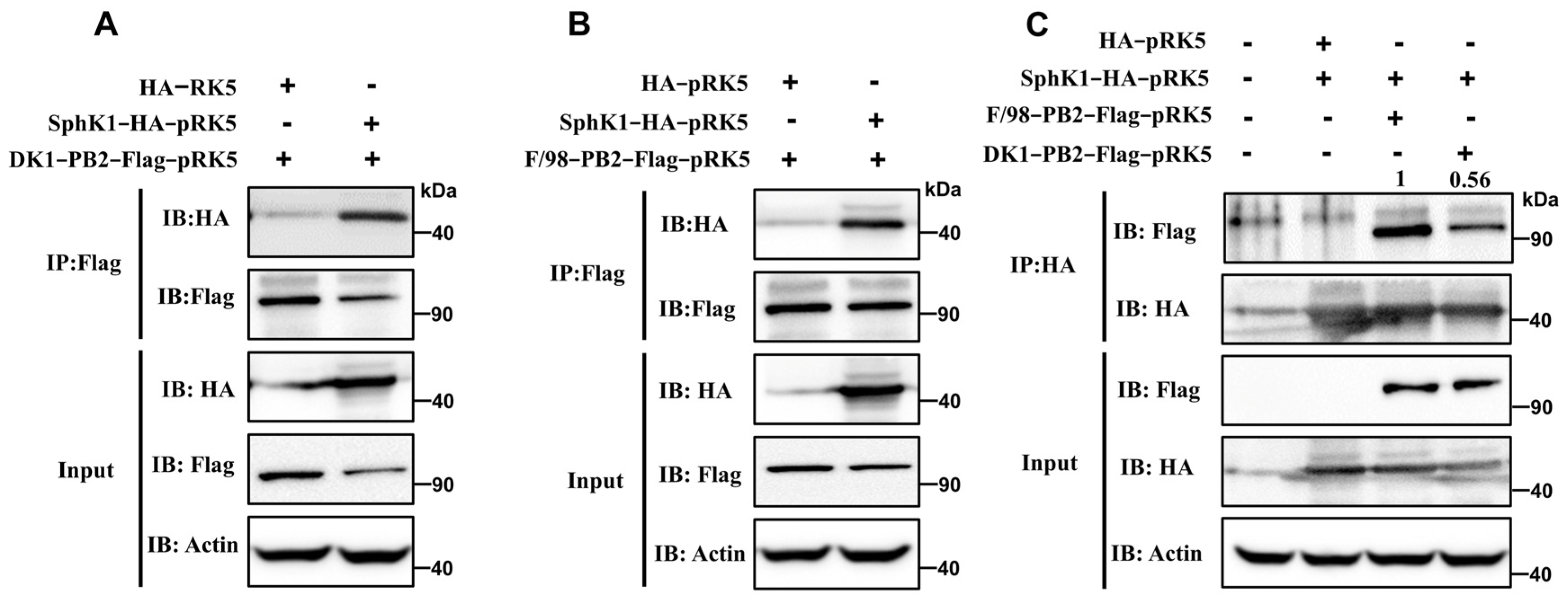Viruses 14 01585 g005
