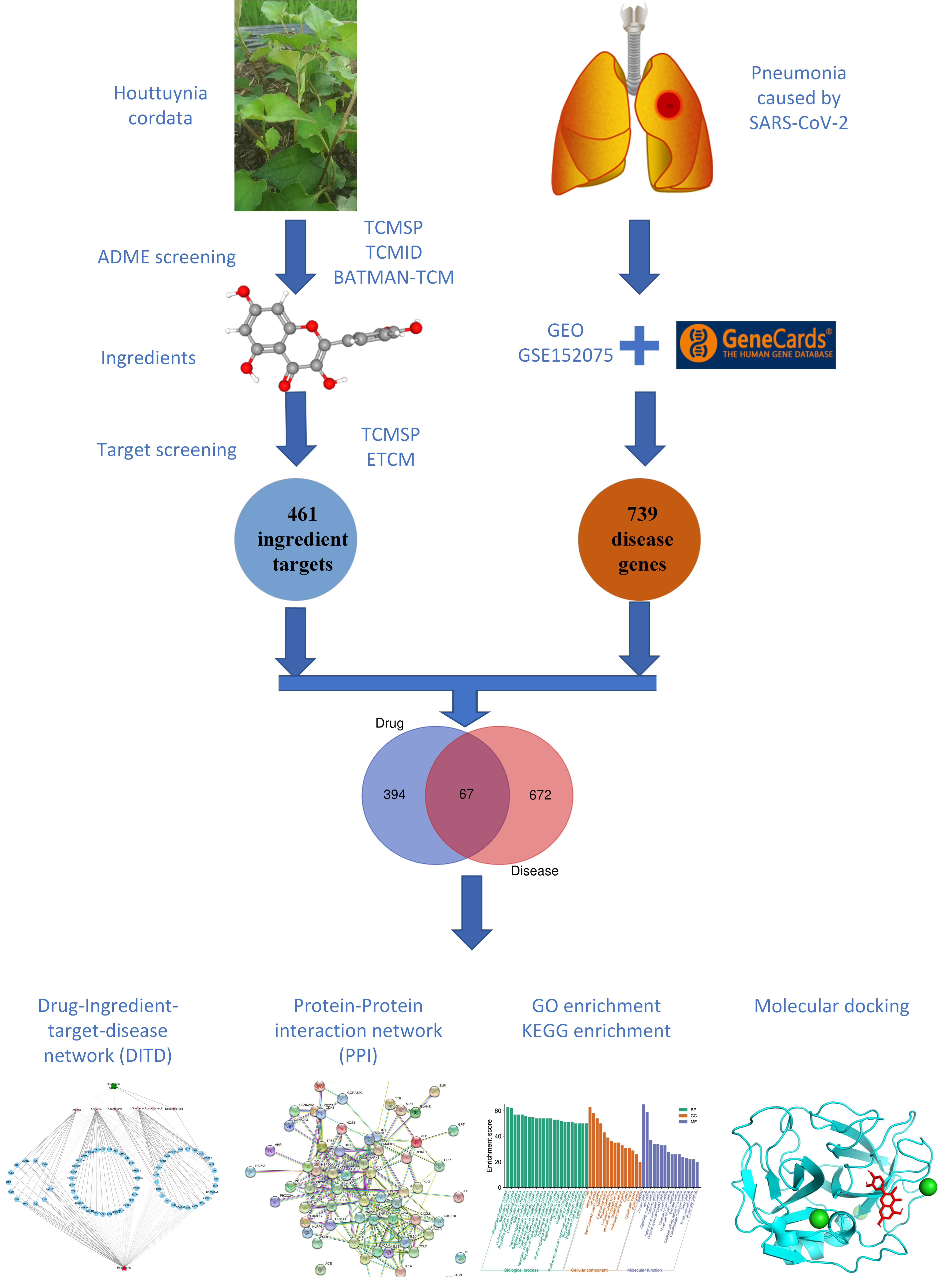 Viruses 14 01588 g001