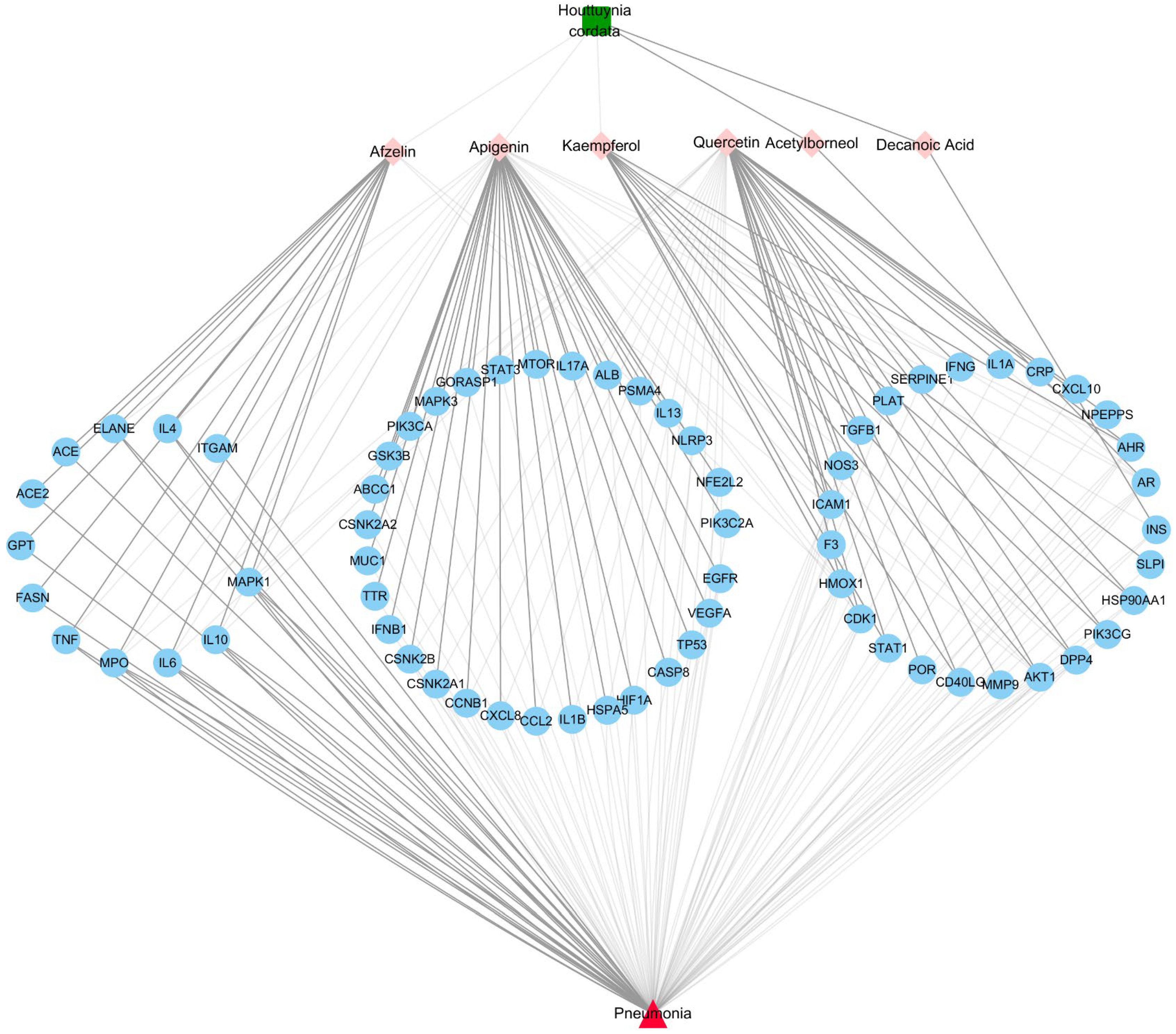 Viruses 14 01588 g002