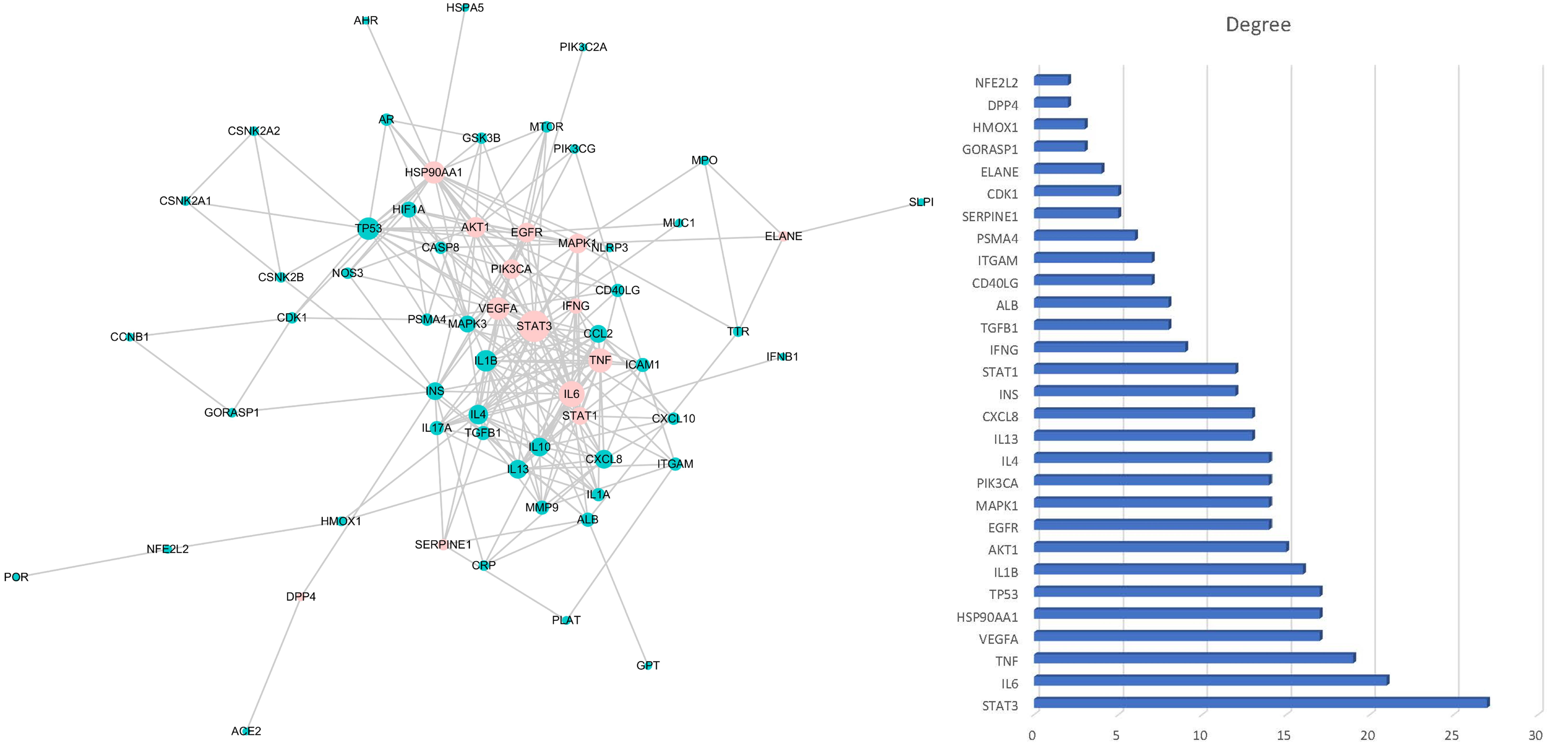Viruses 14 01588 g003