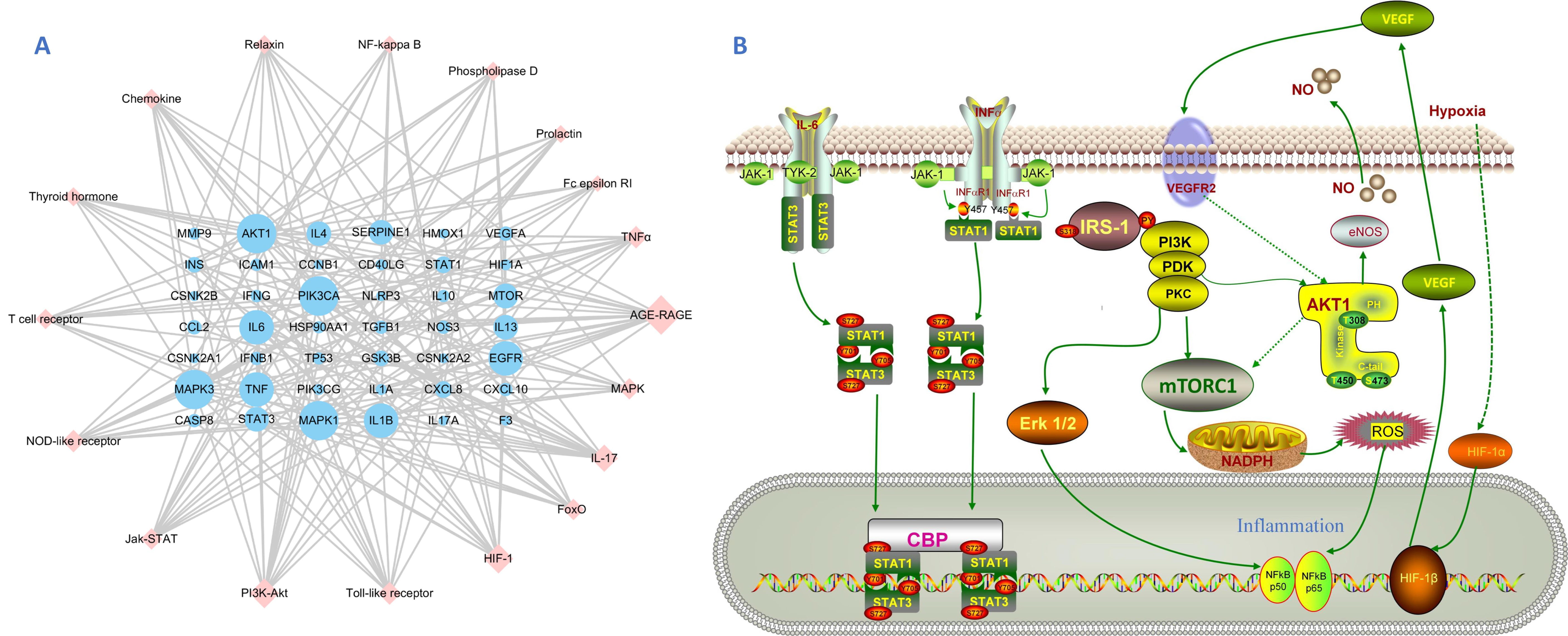 Viruses 14 01588 g005