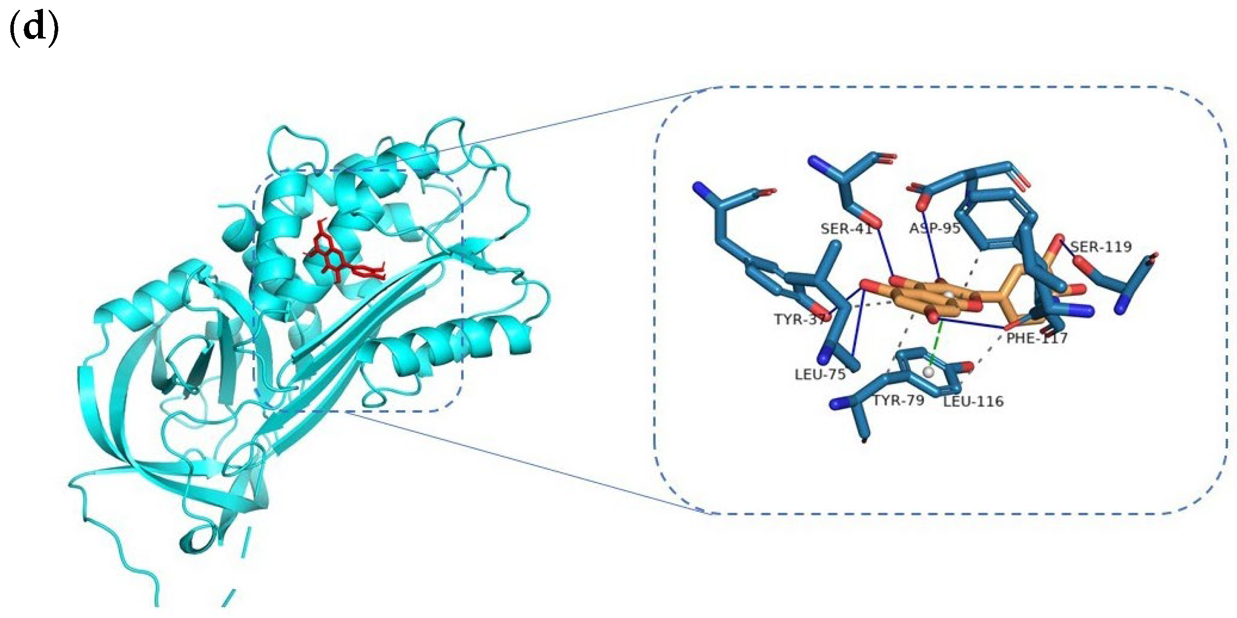 Viruses 14 01588 g006b