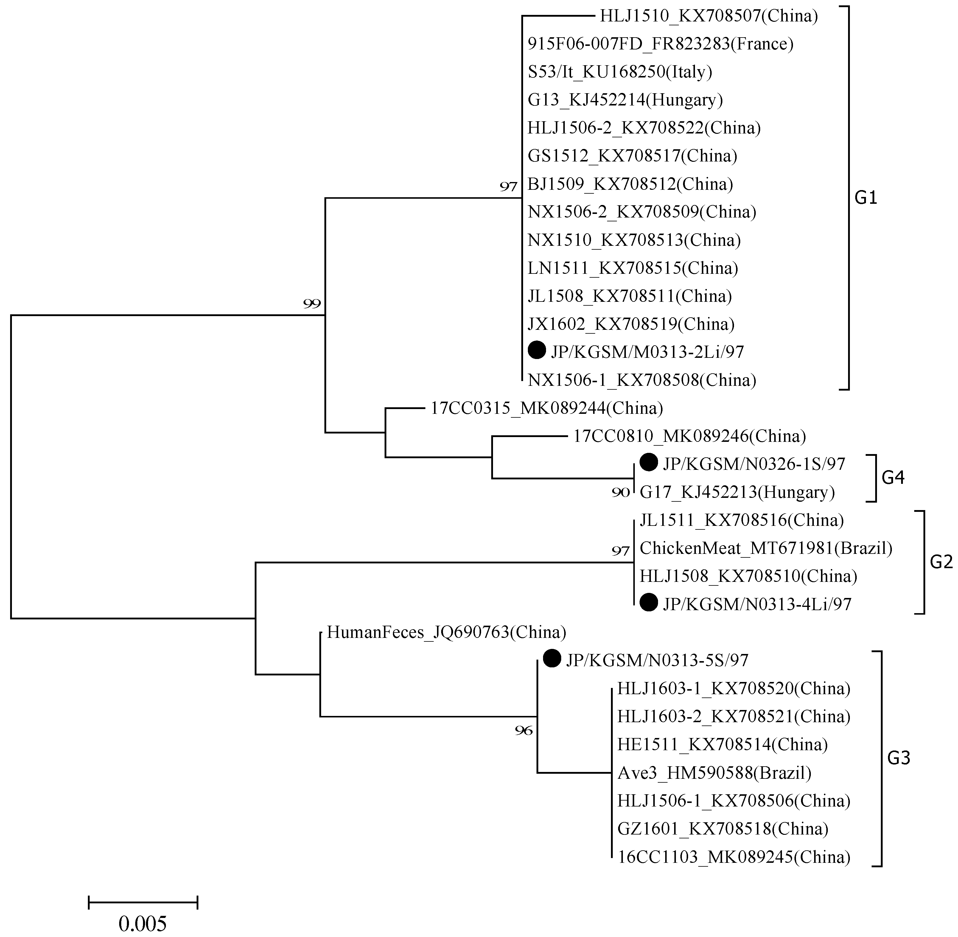 Viruses 14 01590 g002