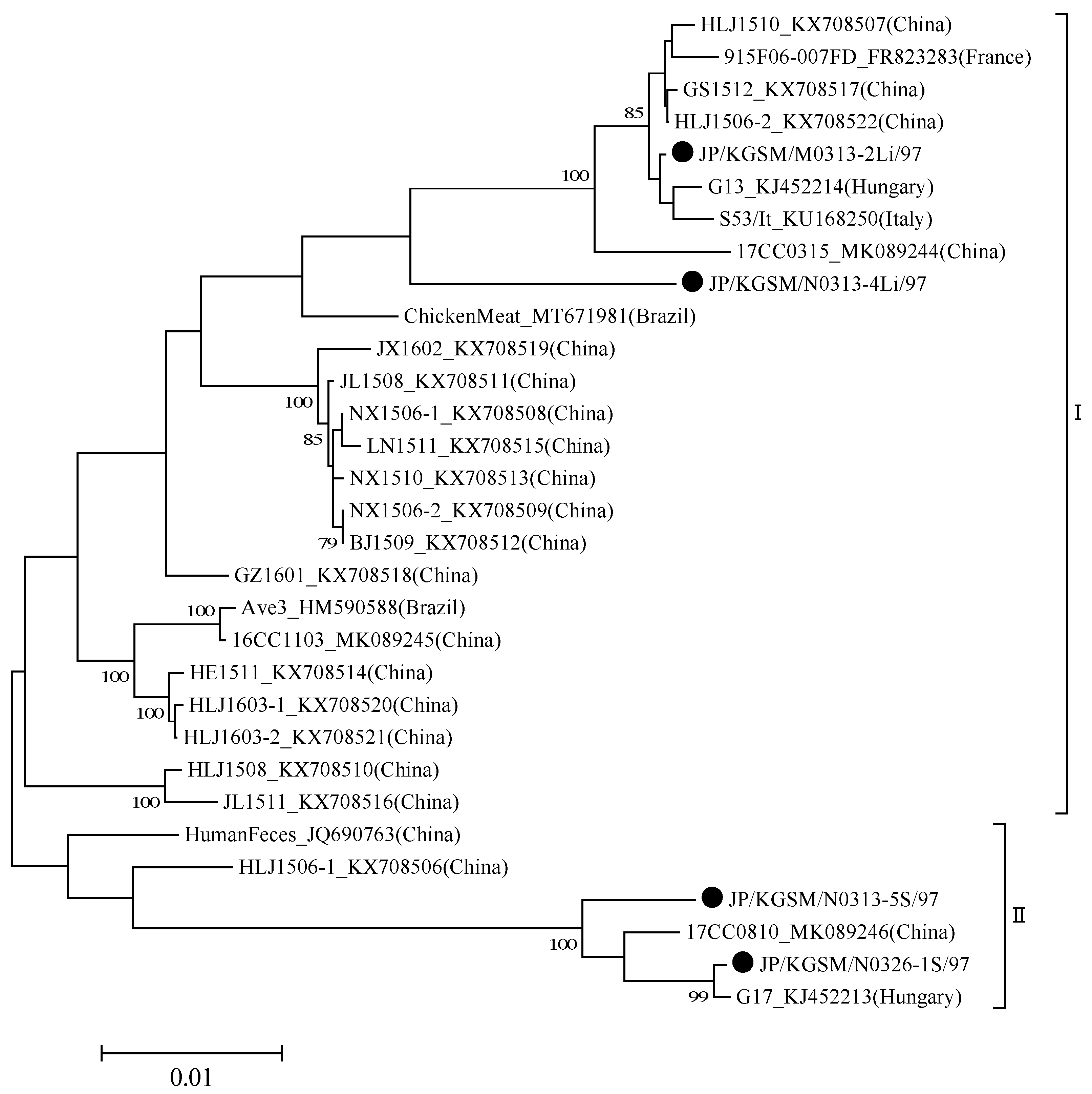 Viruses 14 01590 g003