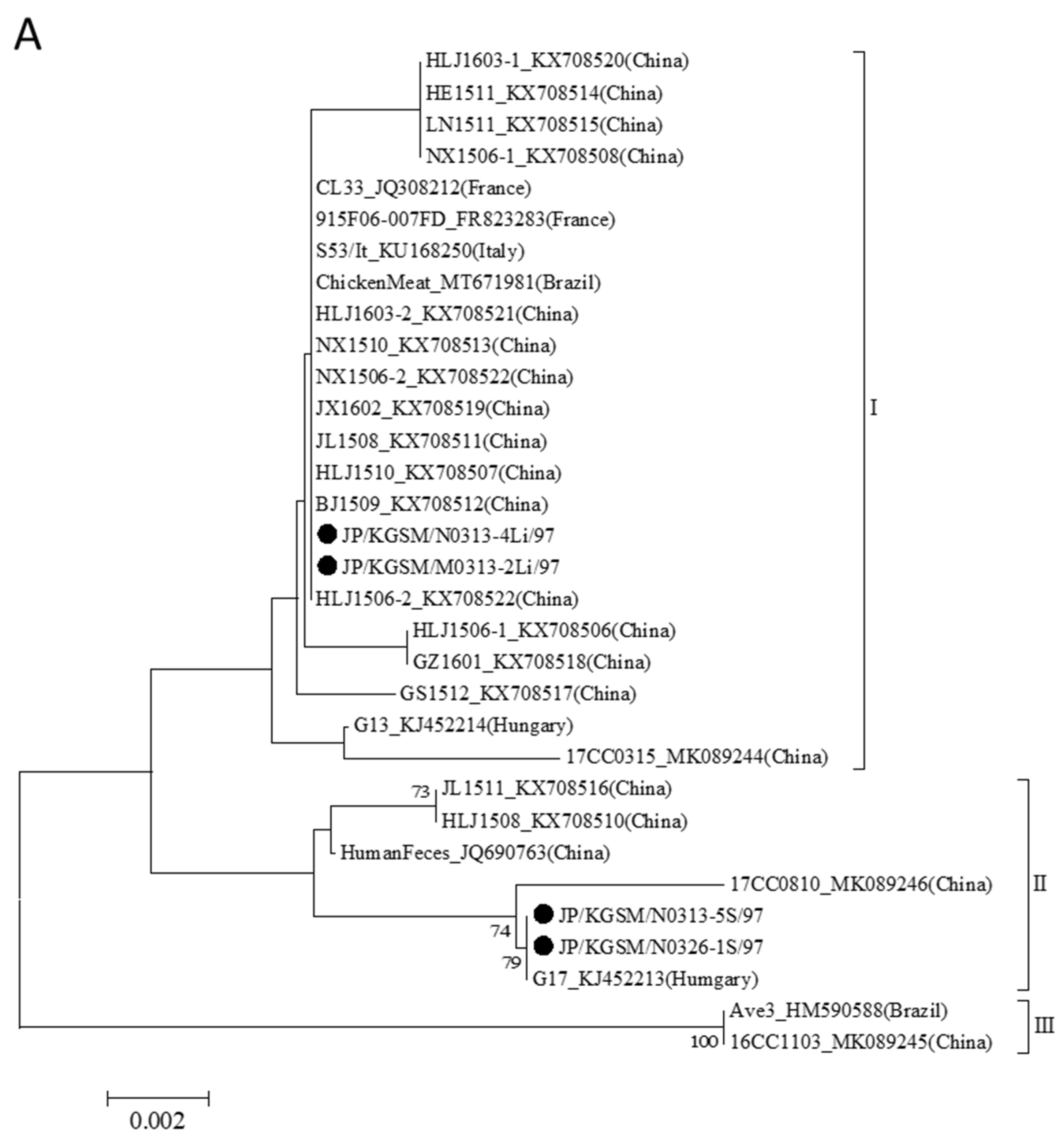 Viruses 14 01590 g004a
